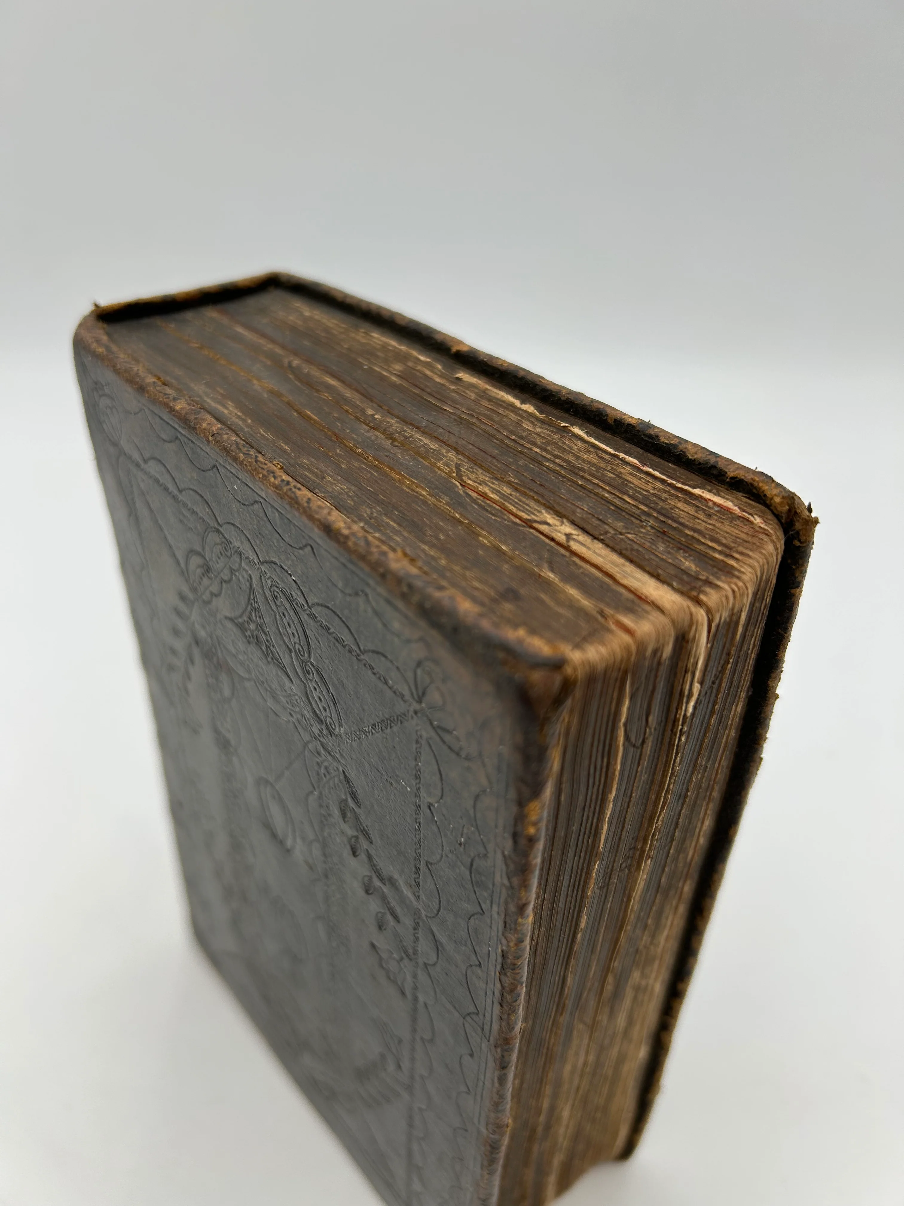 Holy Bible 1657 - Image 3