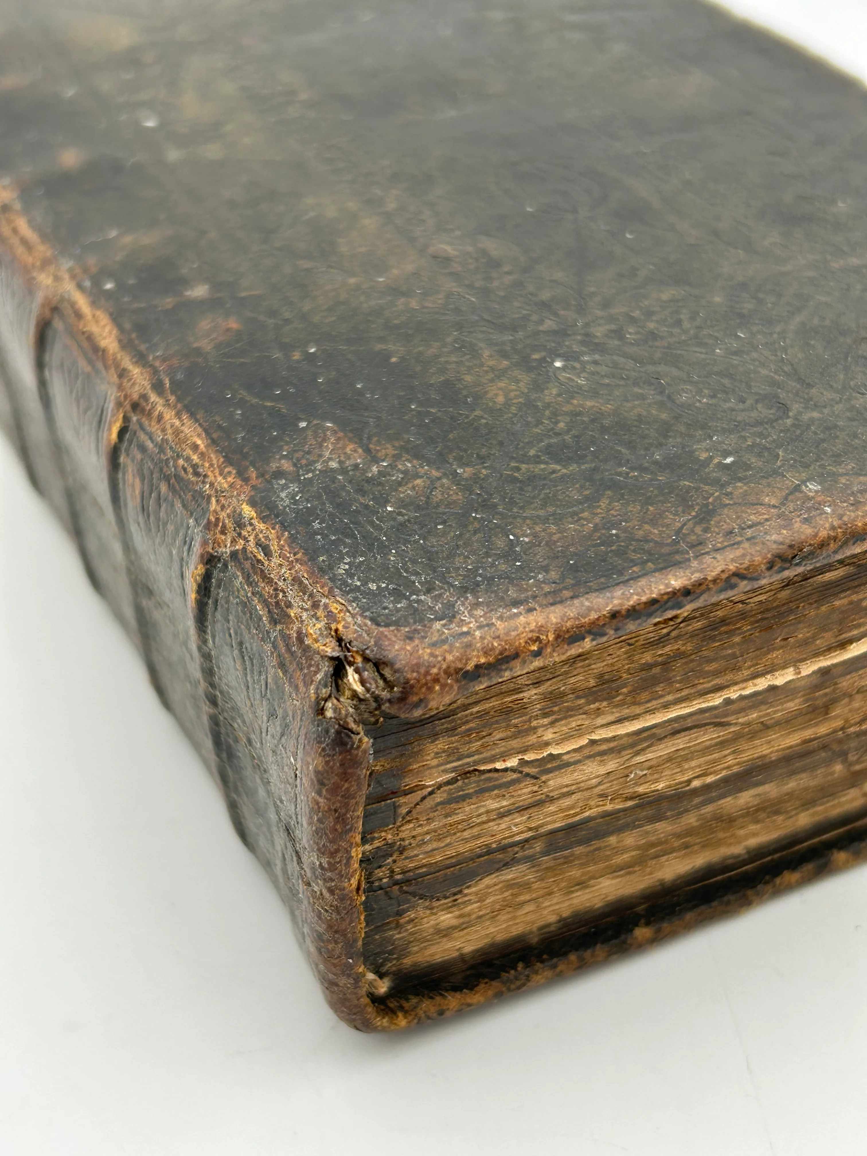 Holy Bible 1657 - Image 5