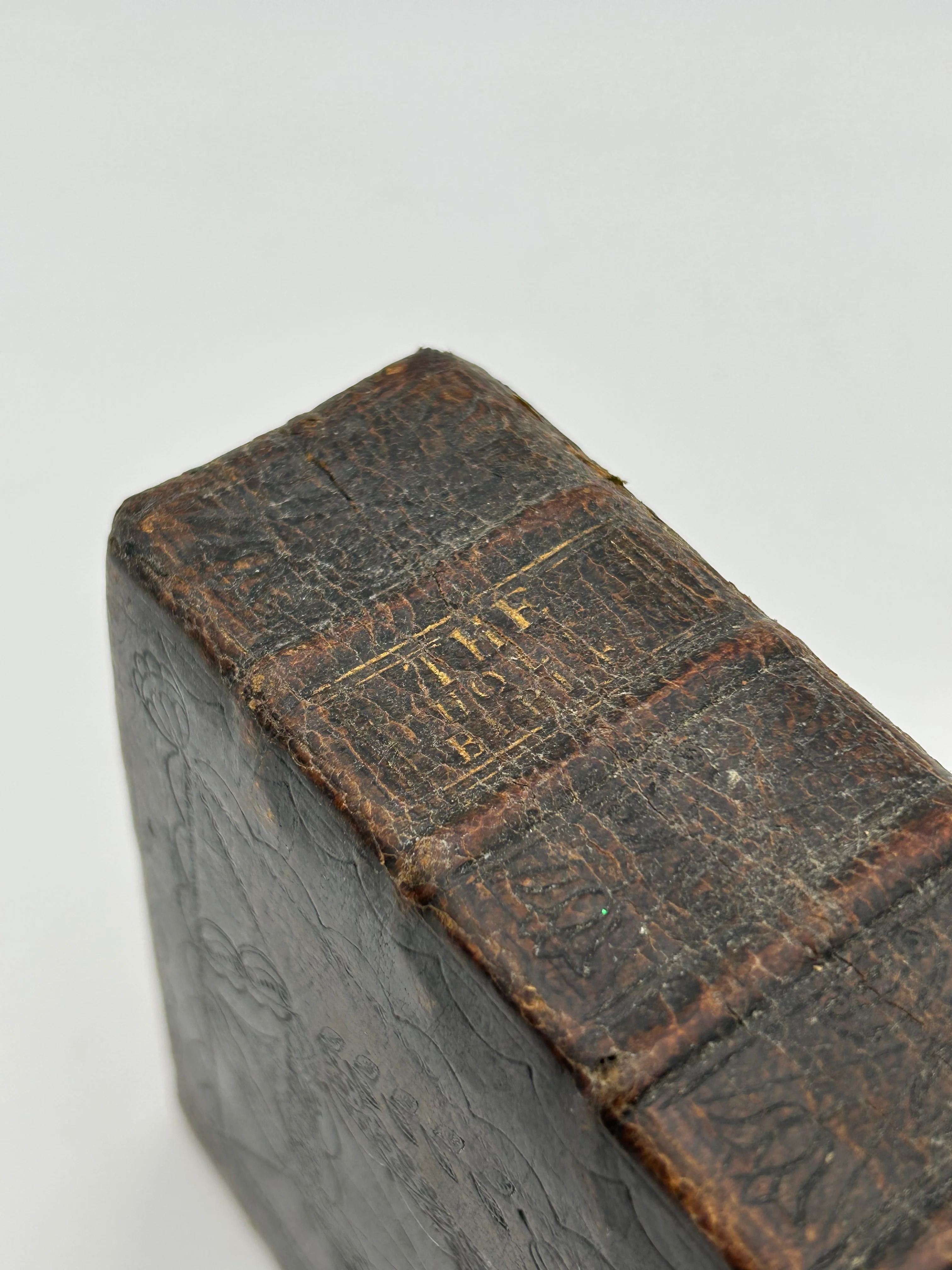 Holy Bible 1657 - Image 8