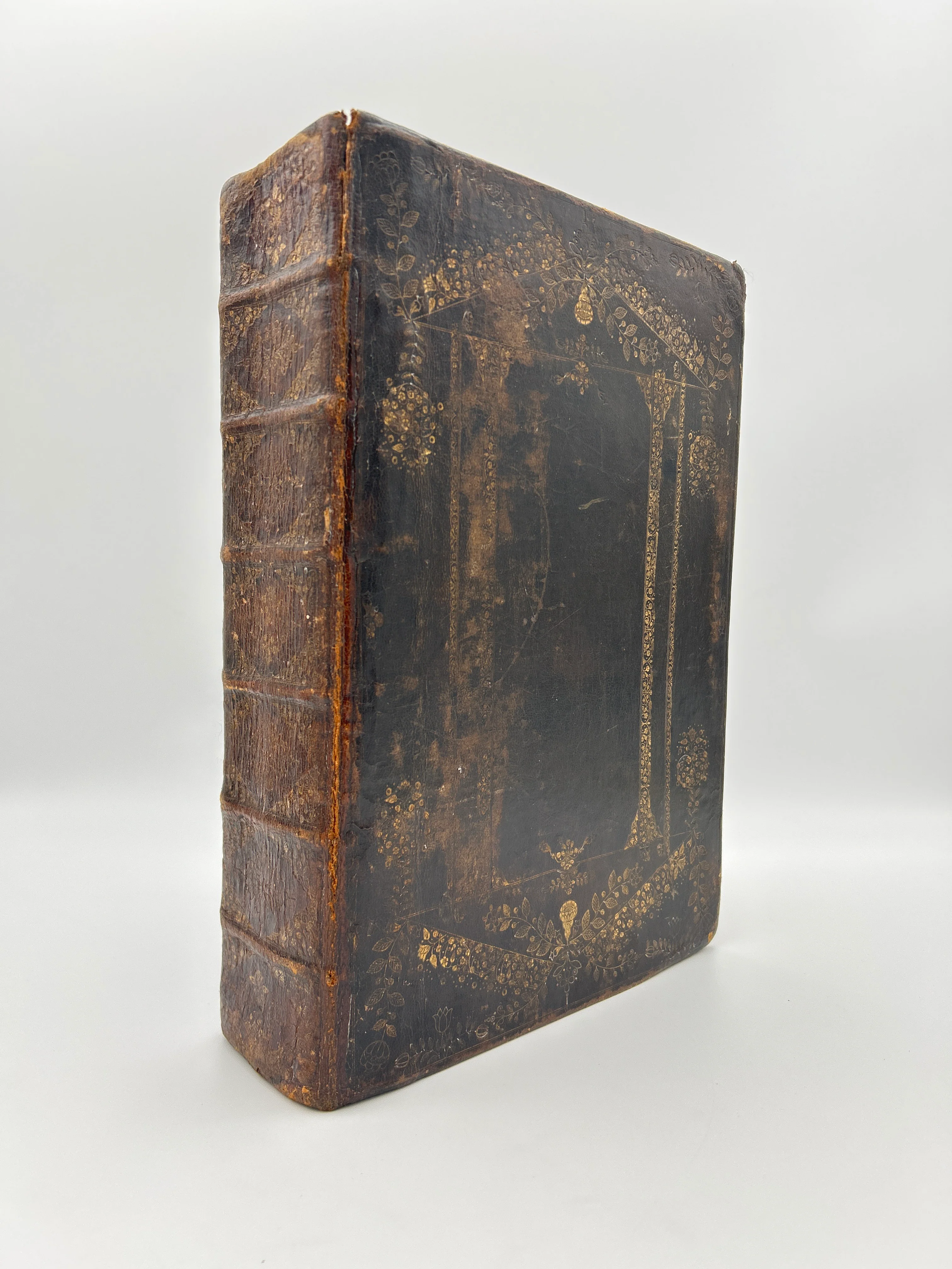 Holy Bible 1681