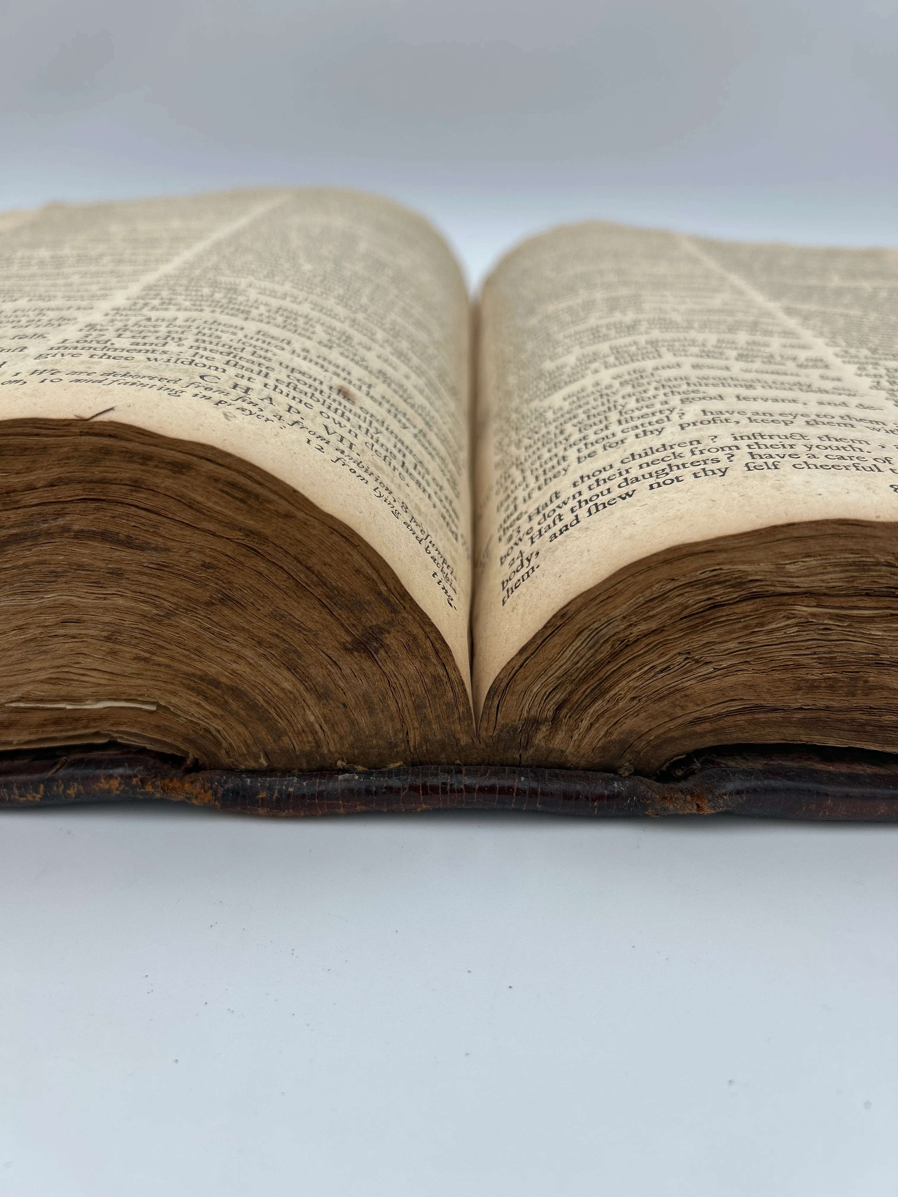 Holy Bible 1681 - Image 11