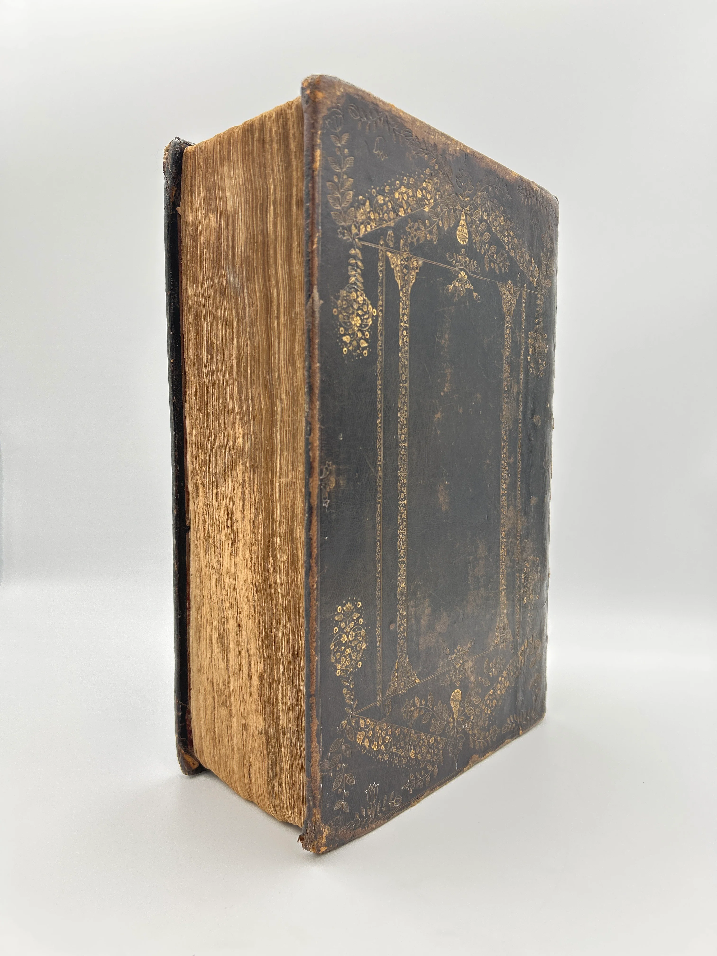 Holy Bible 1681 - Image 2