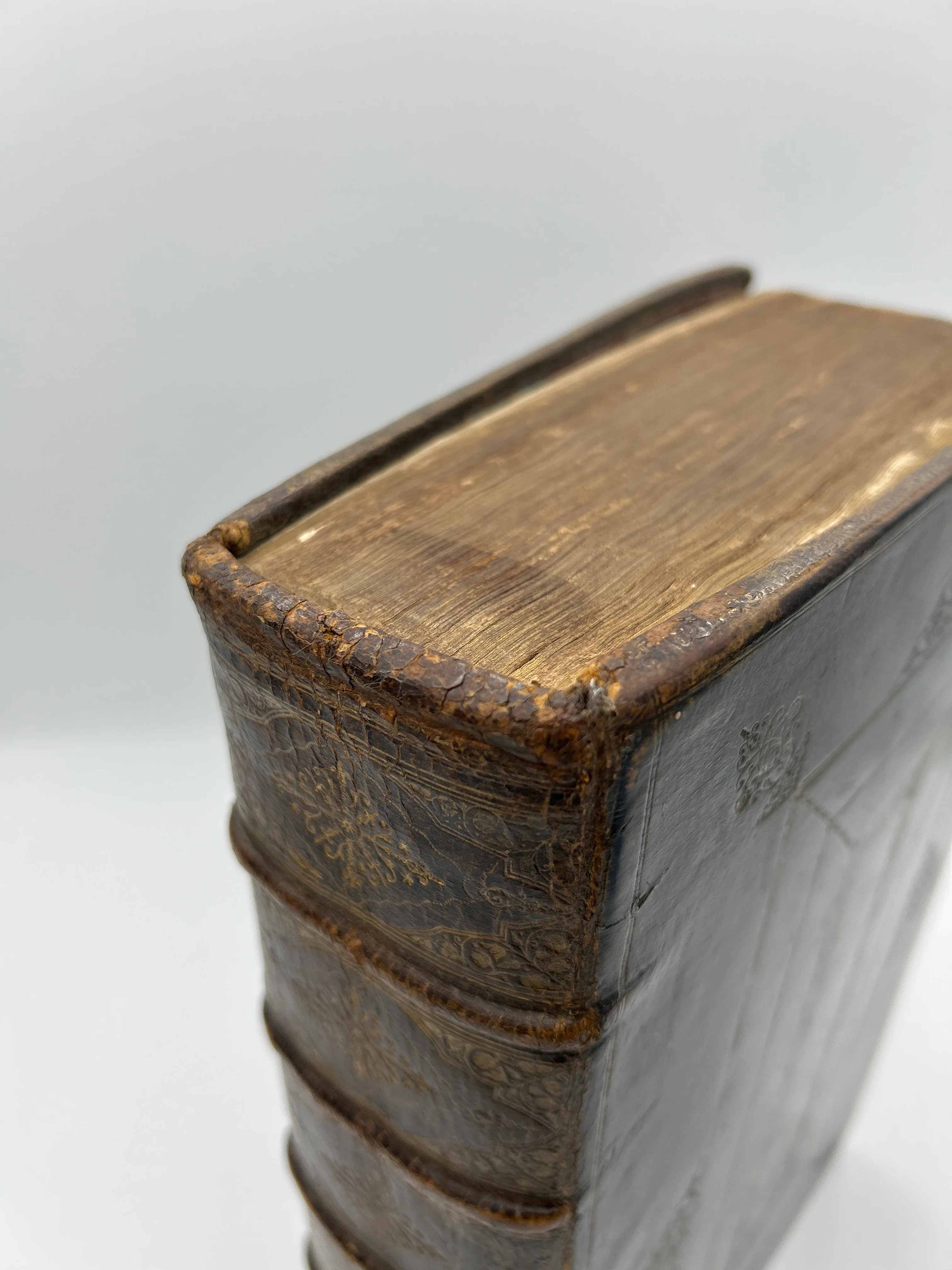 Holy Bible 1723 - Image 3