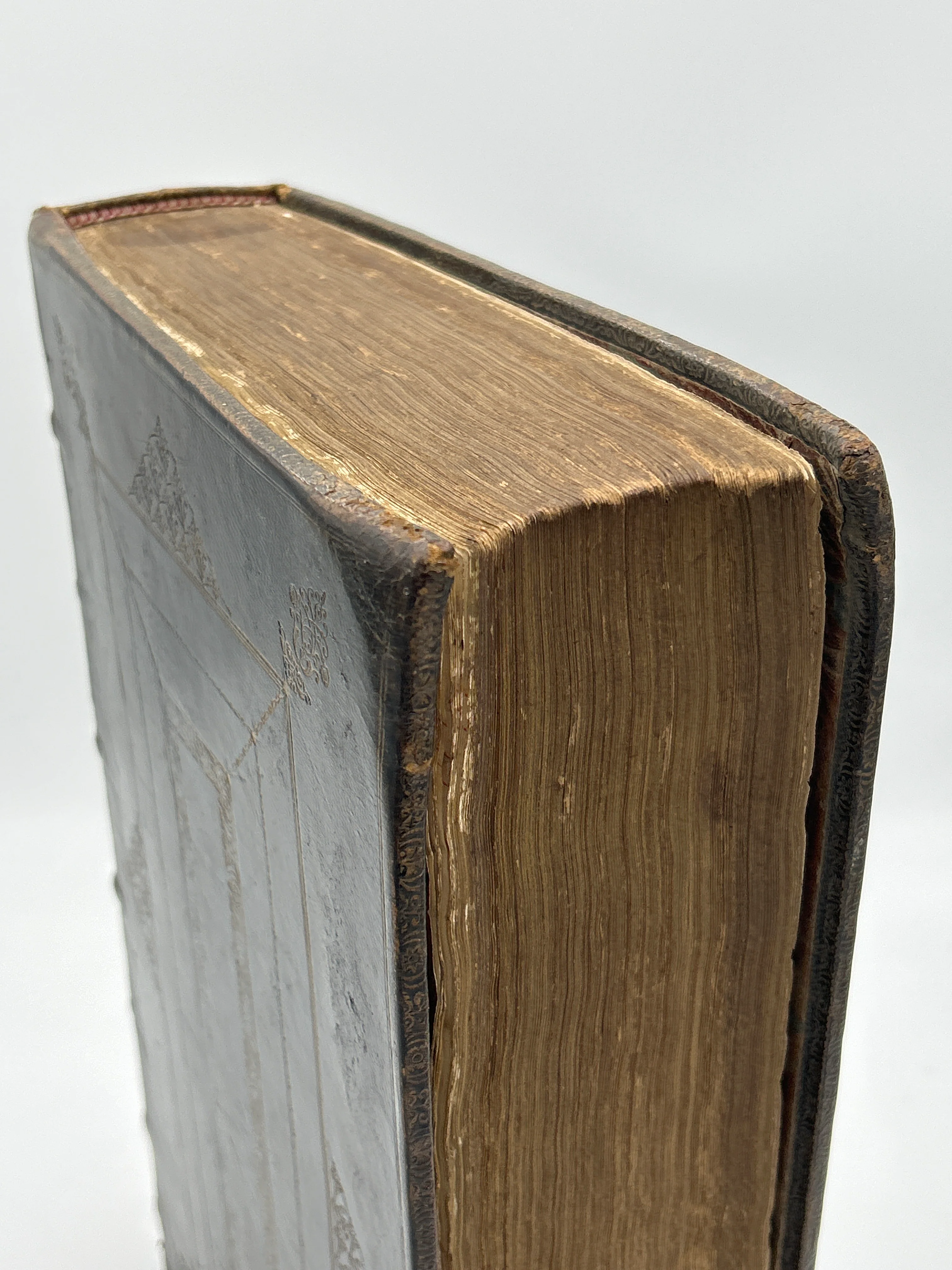Holy Bible 1723 - Image 4