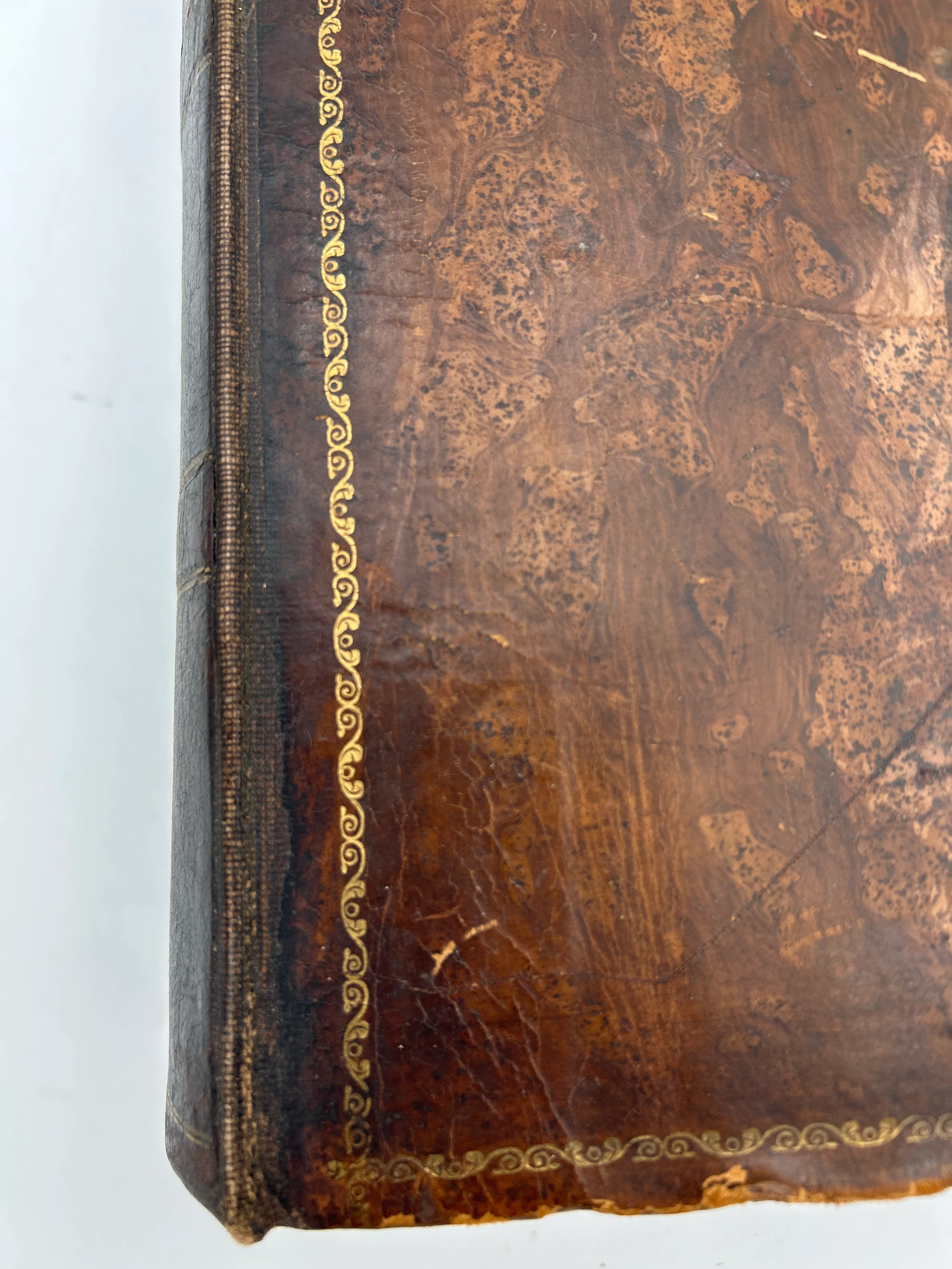 Holy Bible (1769) - Image 5