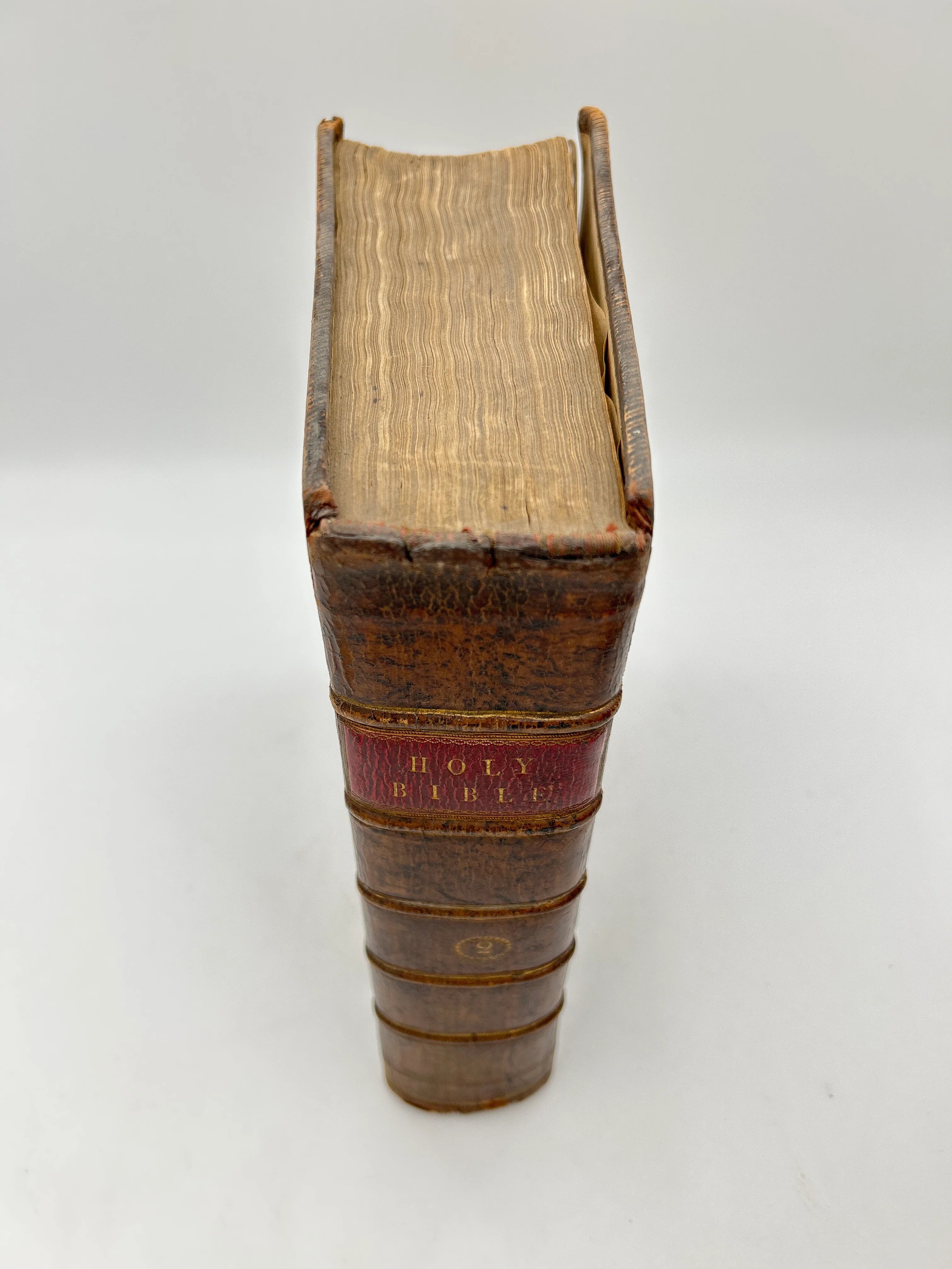 Holy Bible 1805 - Image 8
