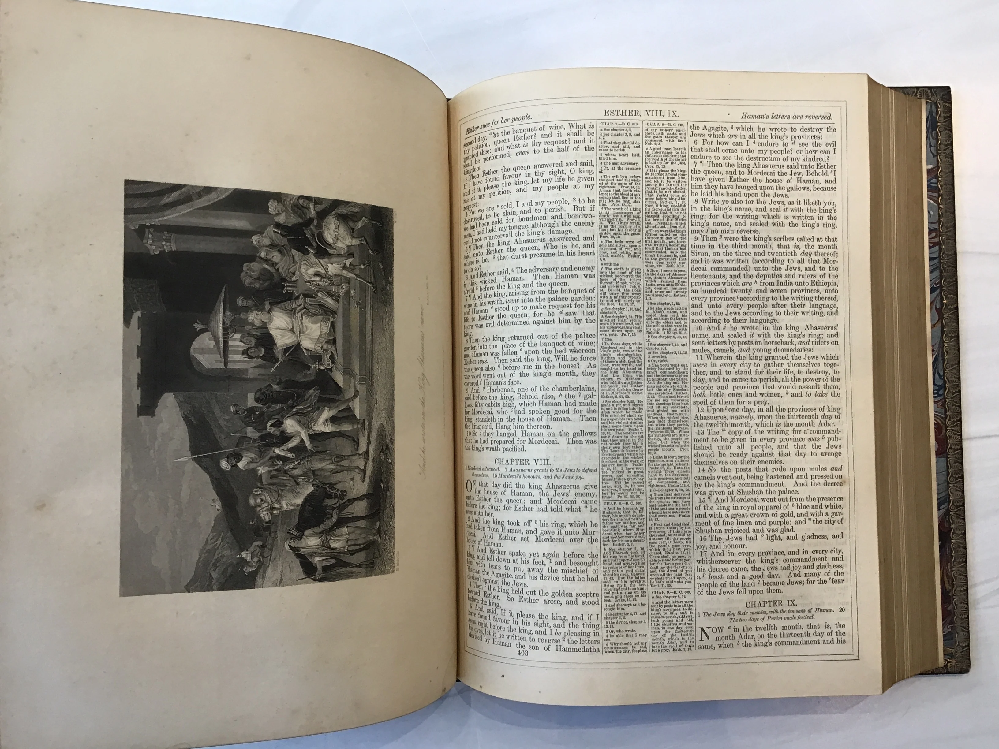 Holy Bible 1850 - Image 6