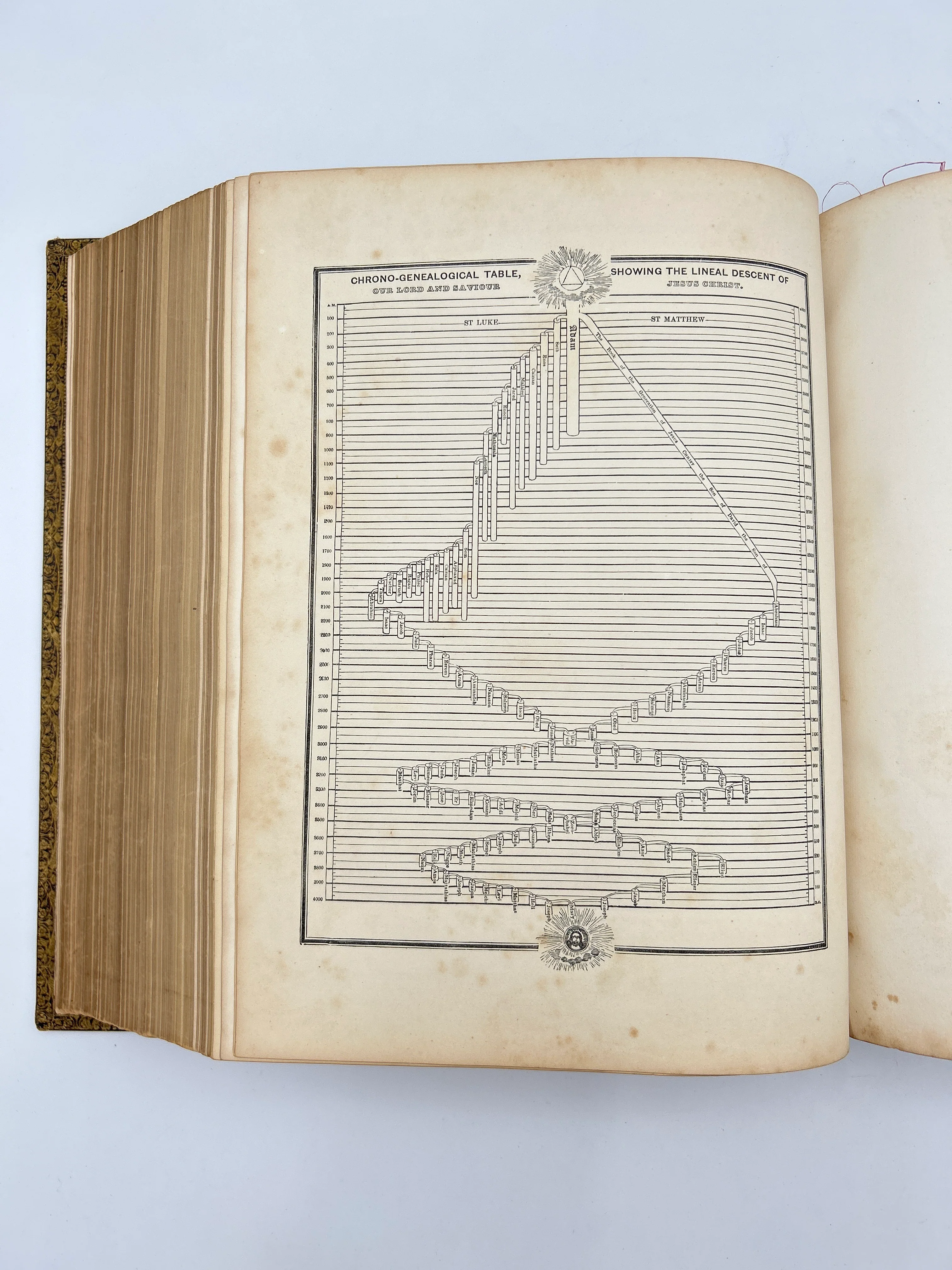 Holy Bible 1865 - Image 10