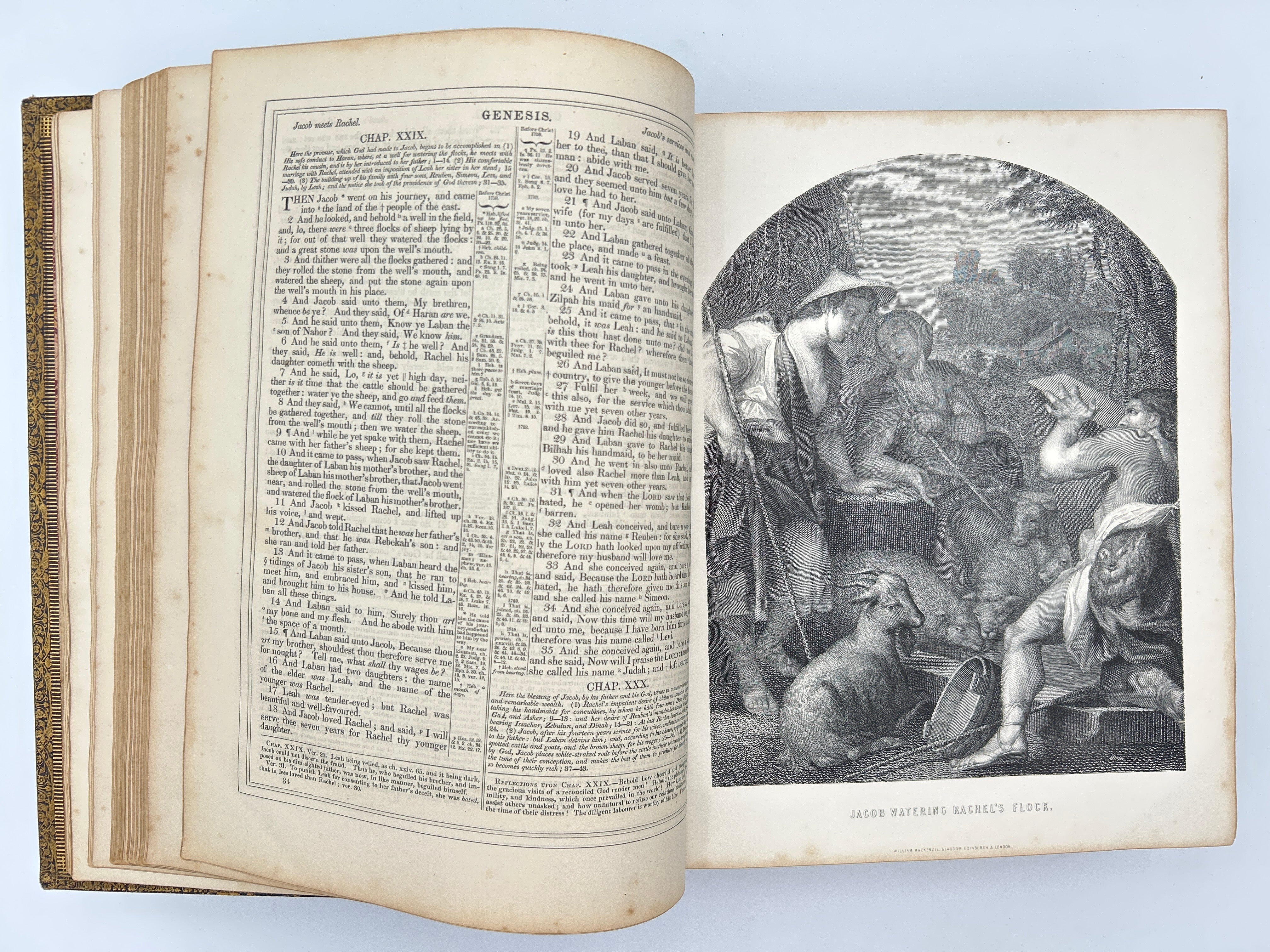 Holy Bible 1865 - Image 6