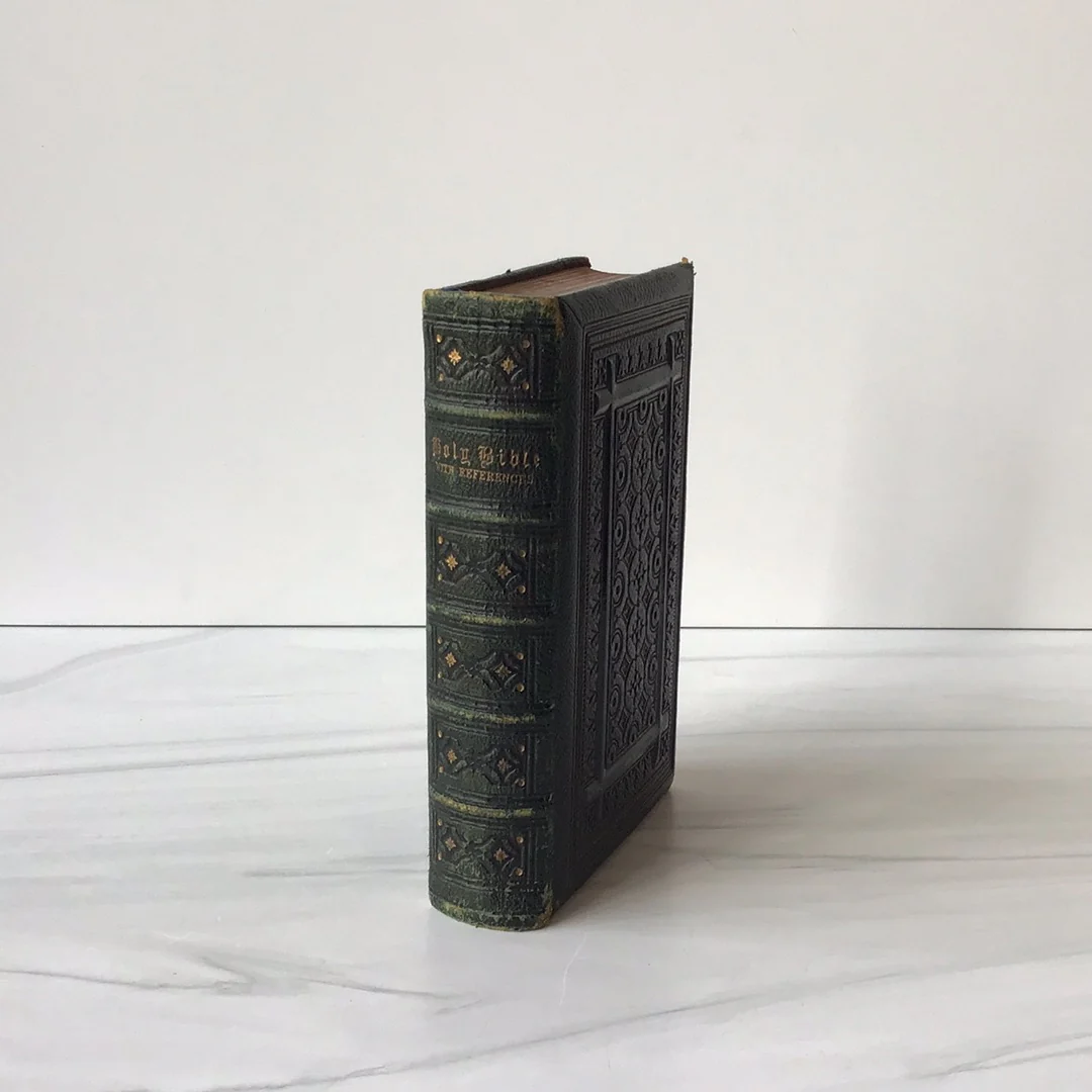 -Holy Bible 1878*