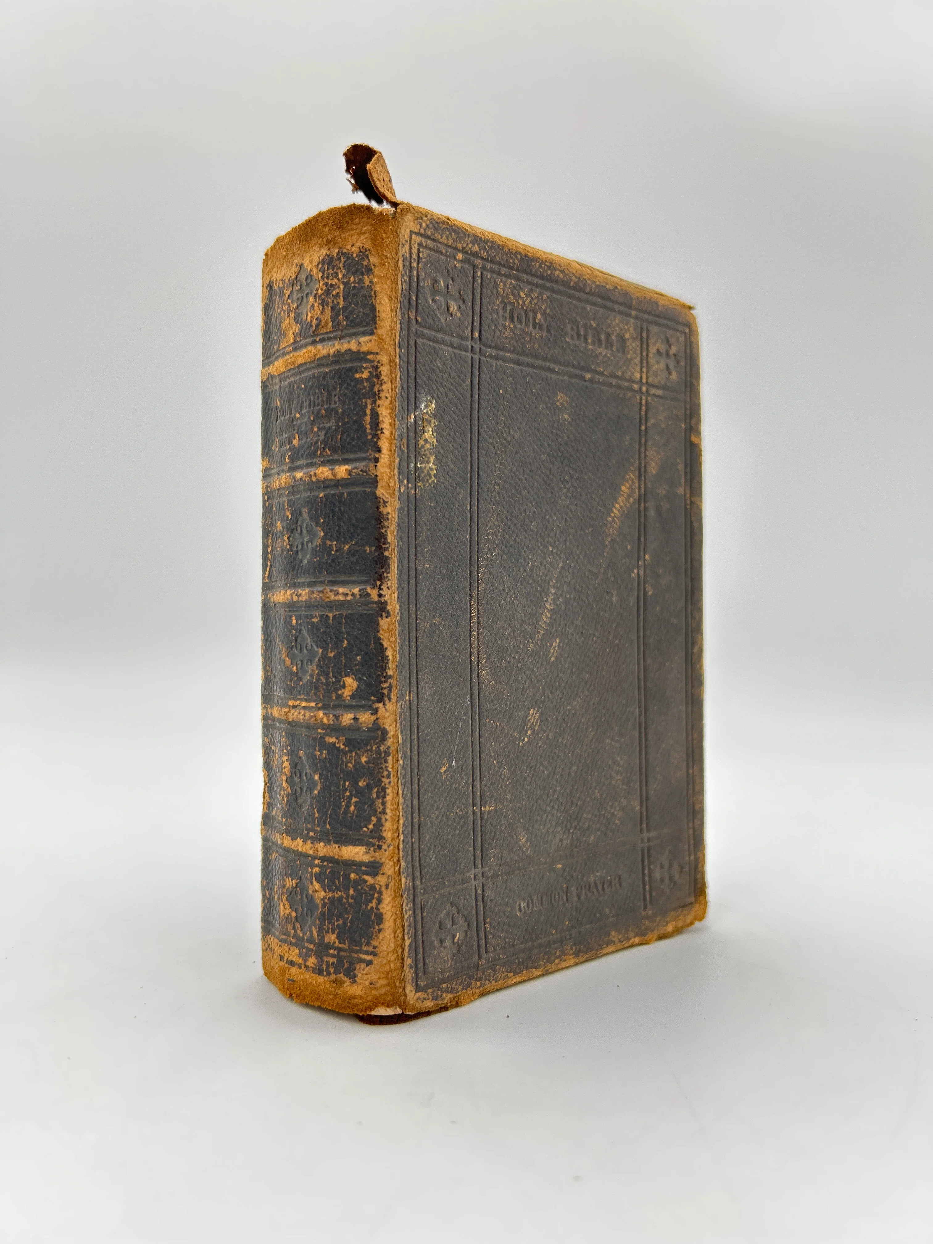 Polyglott Bible 1880s