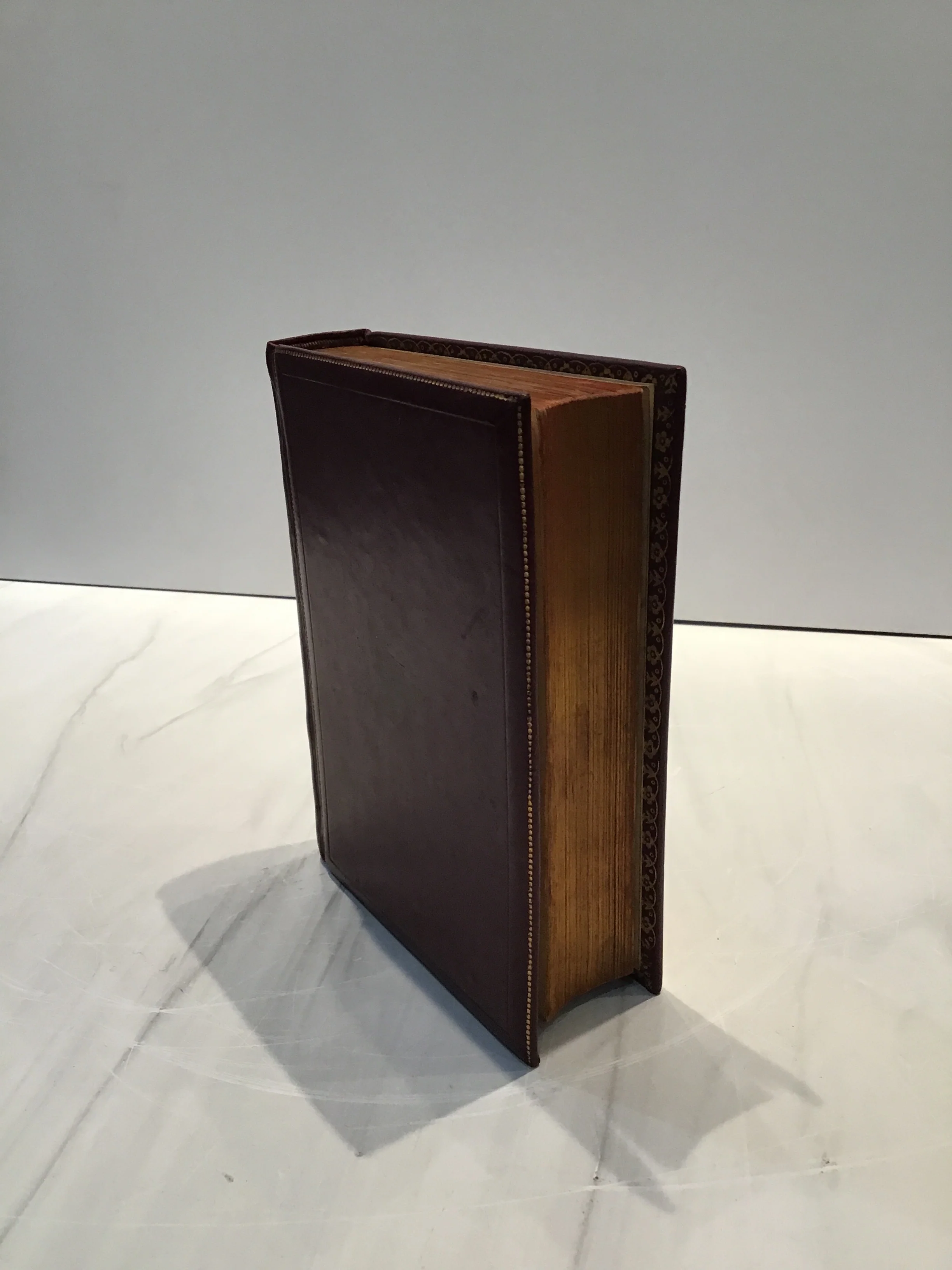 Holy Bible 1890* - Image 3