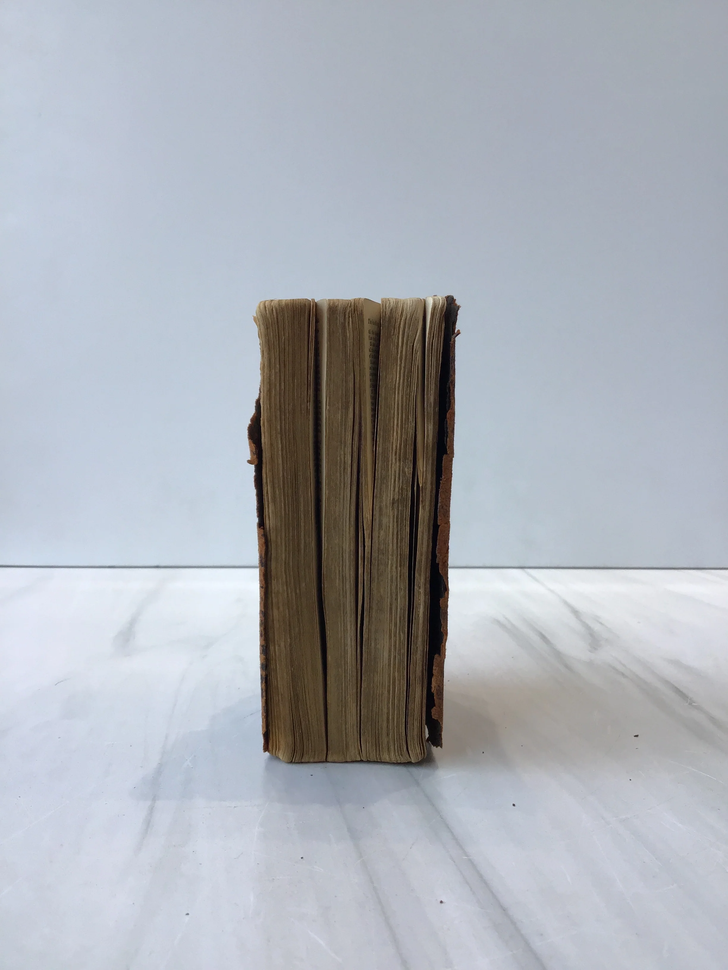 -Holy Bible 1901* - Image 3