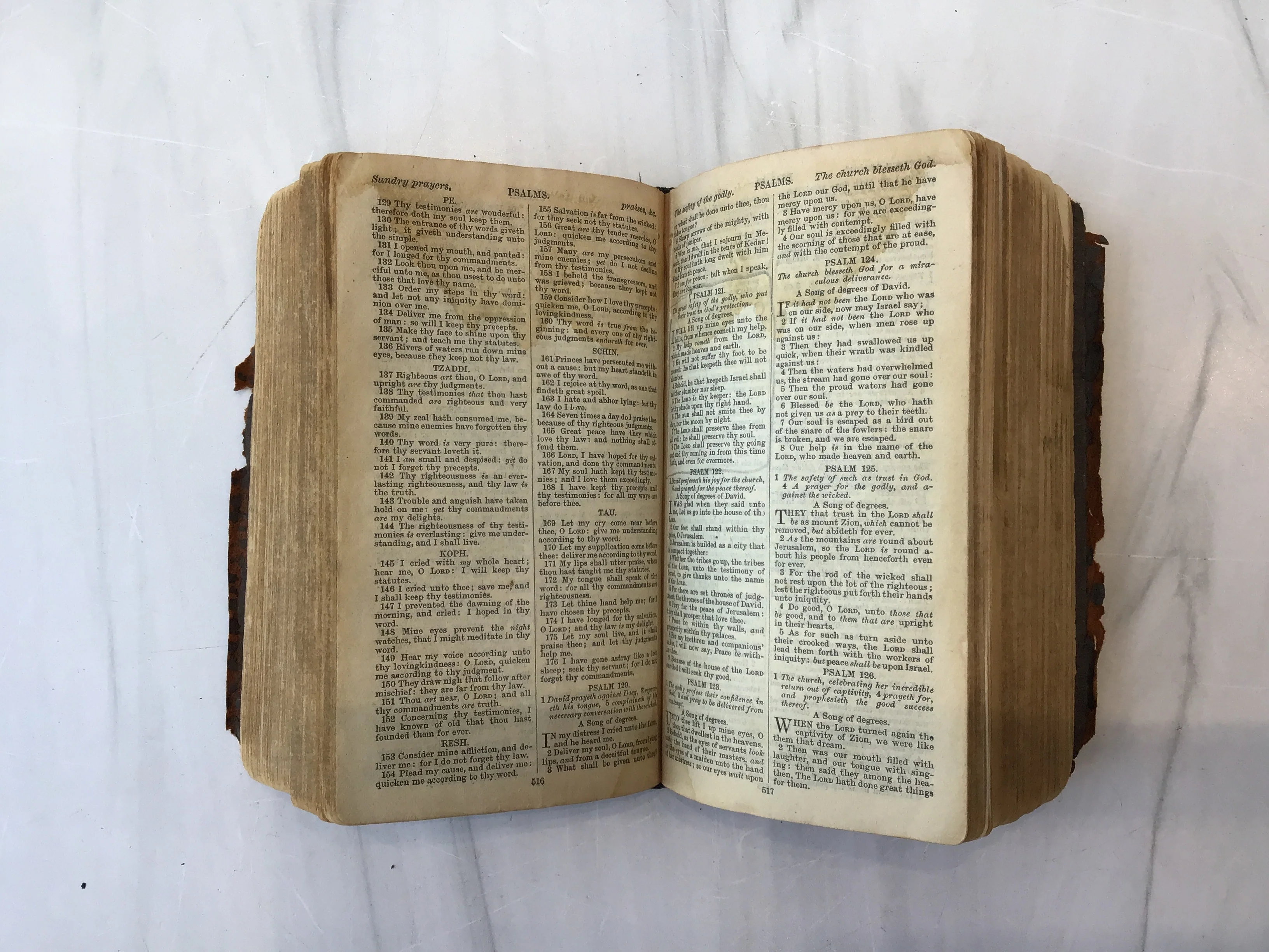 -Holy Bible 1901* - Image 4