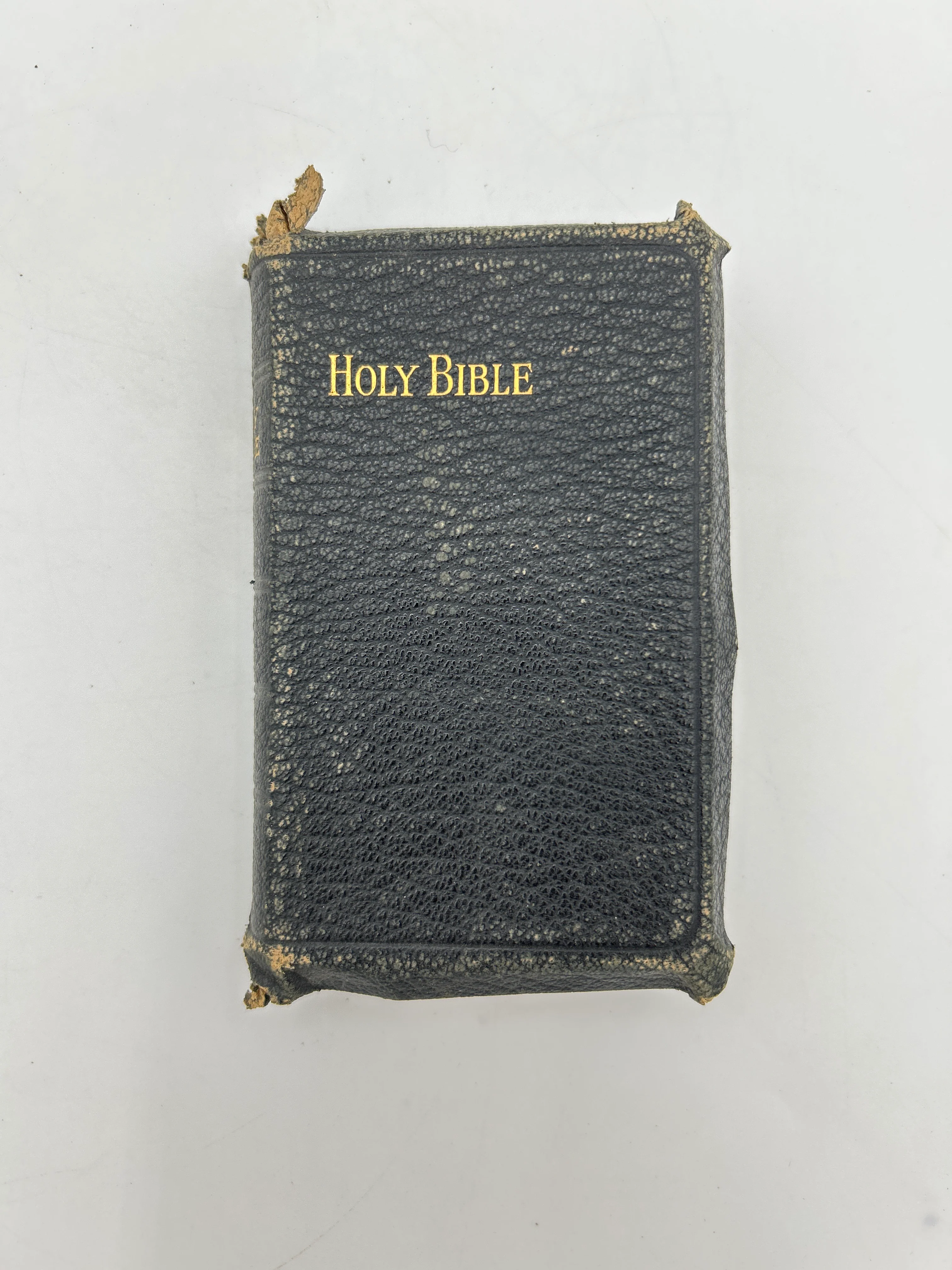 Holy Bible ca. 1919 - Image 4