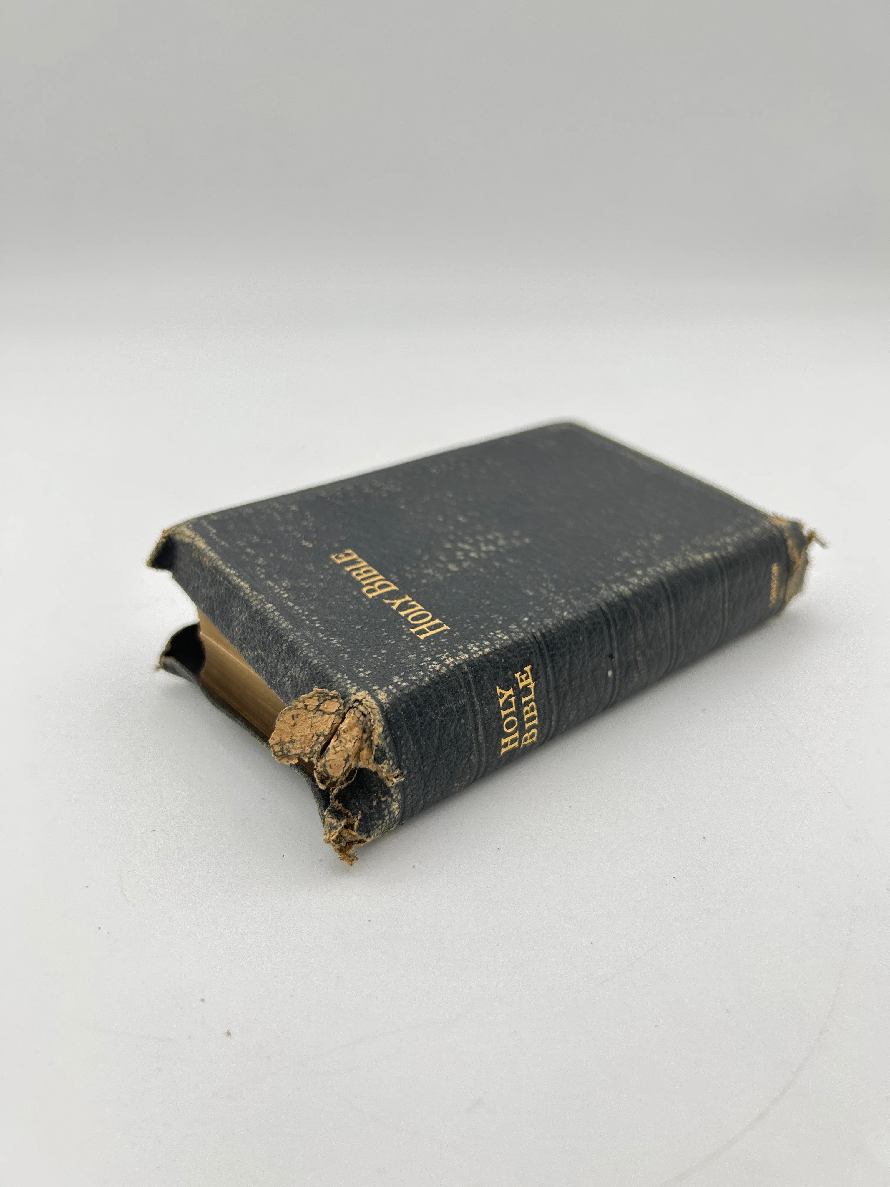 Holy Bible ca. 1919 - Image 6