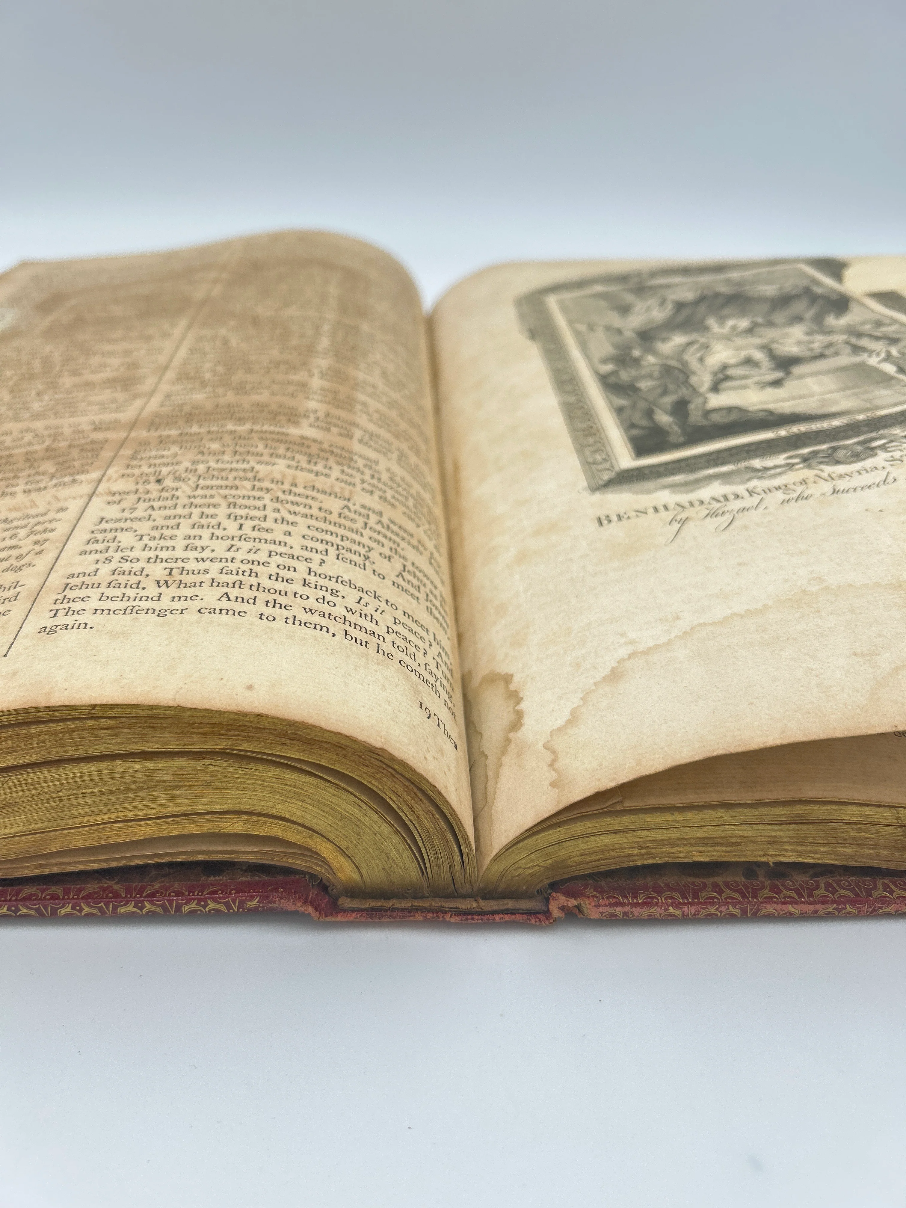 Thomas Bible in 2 Volumes (Illustrated) - Image 10