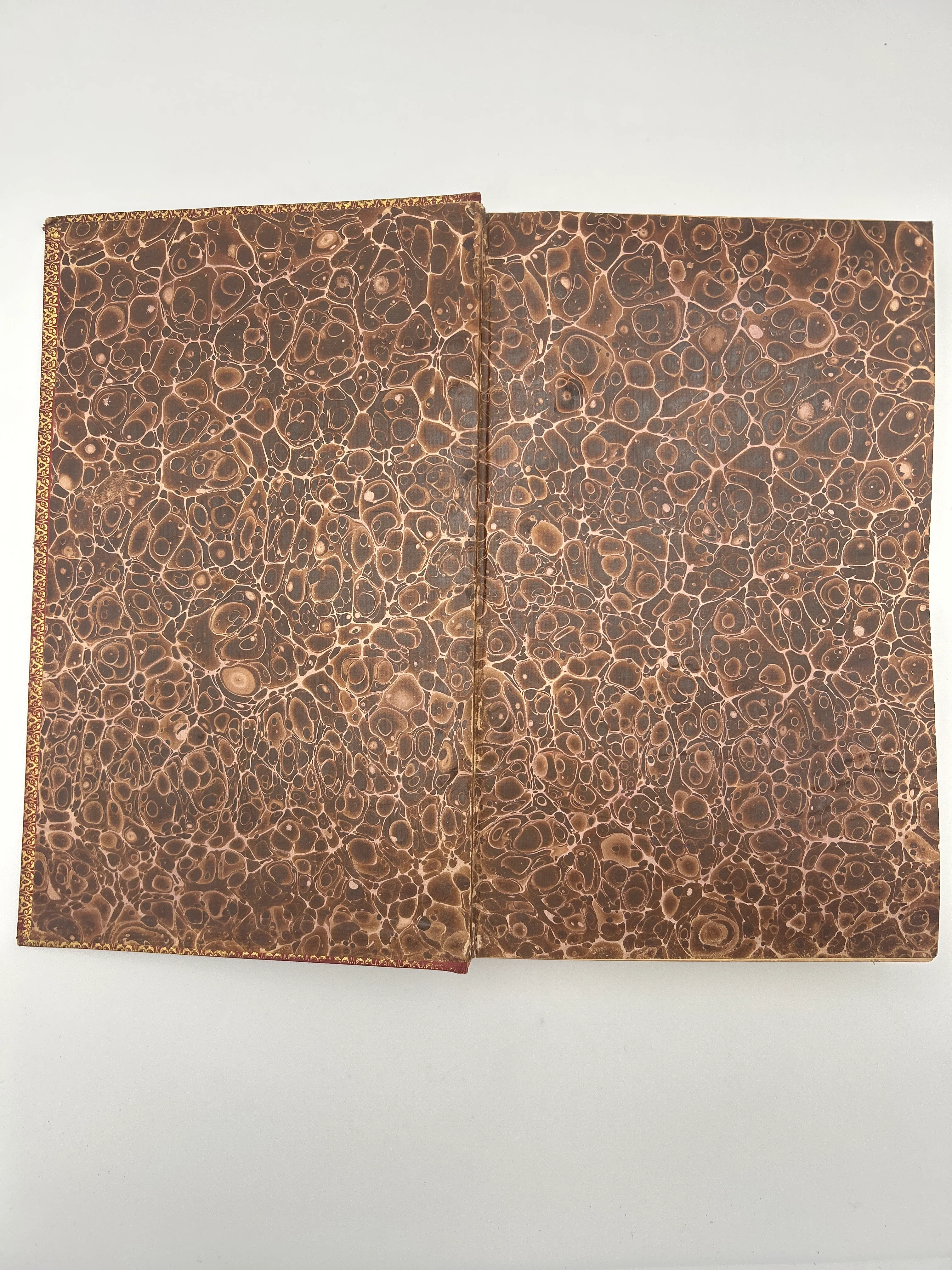 Thomas Bible in 2 Volumes (Illustrated) - Image 19