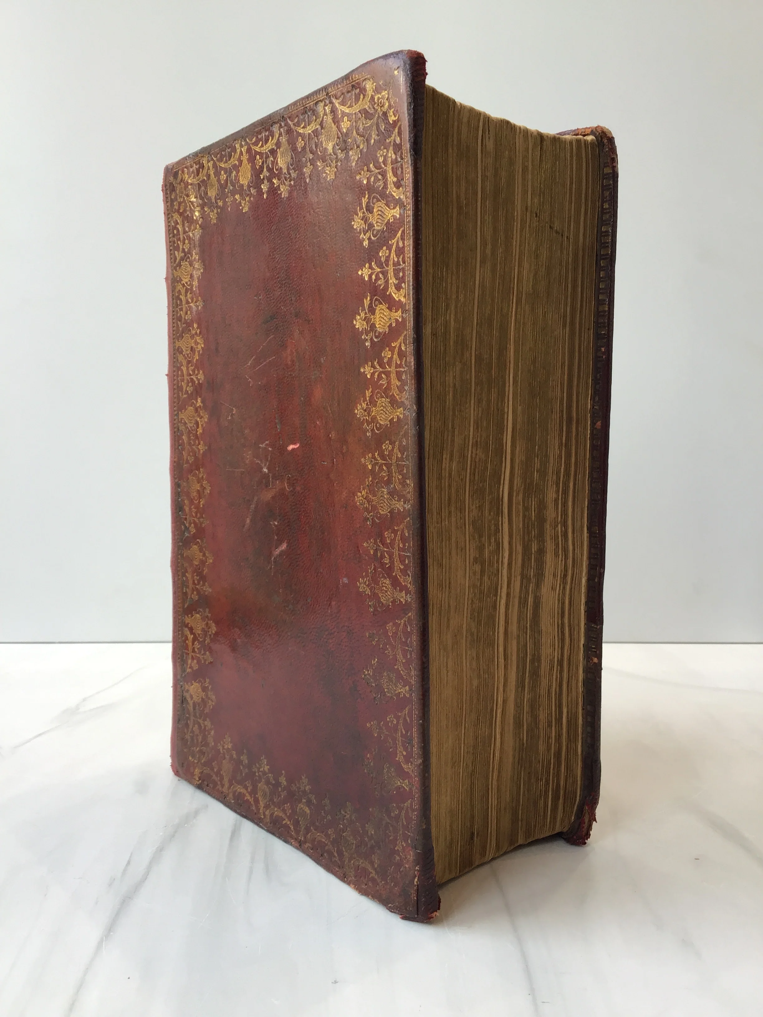 Holy Bible