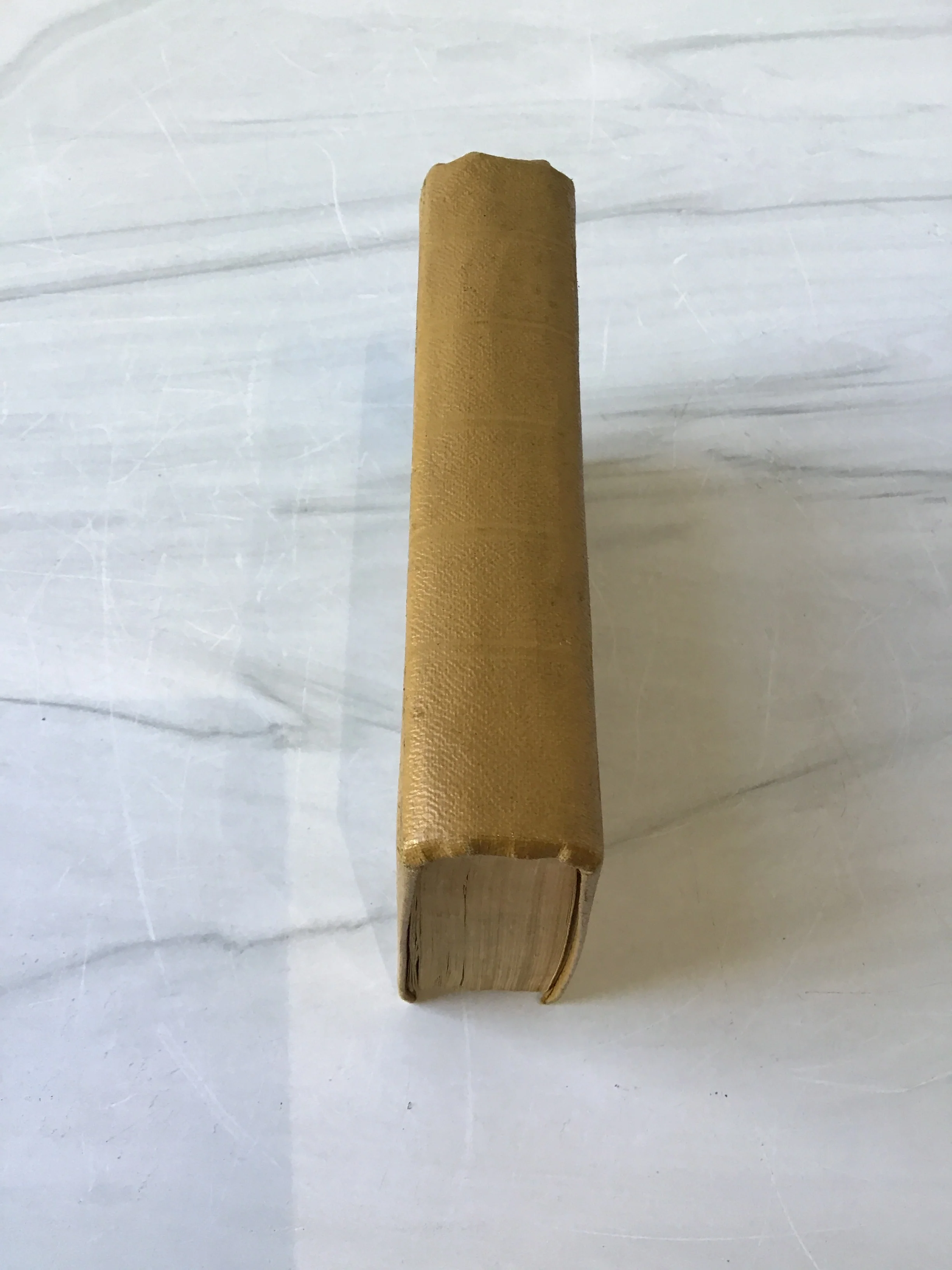 Holy Bible - Image 4