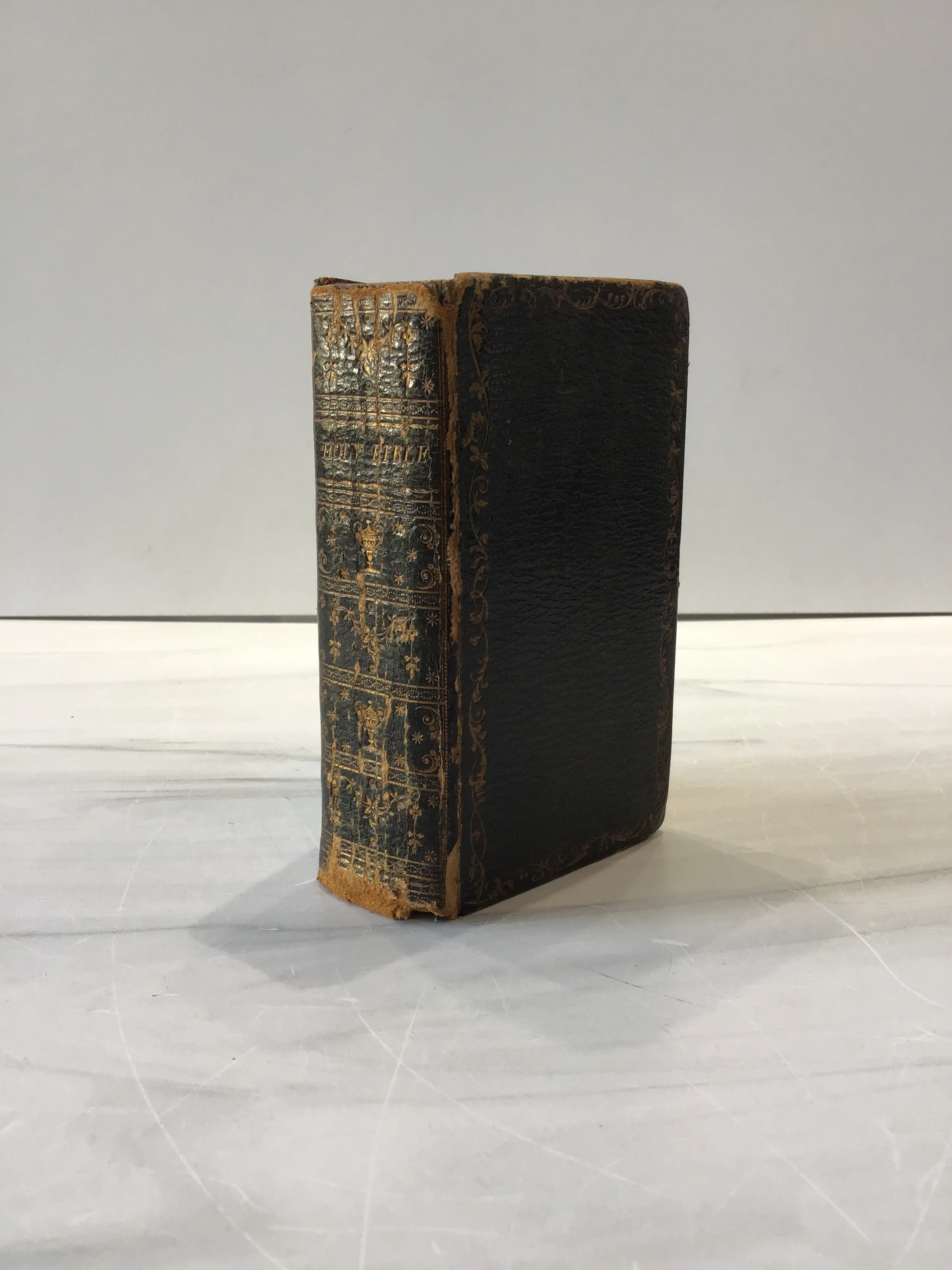 Holy Bible