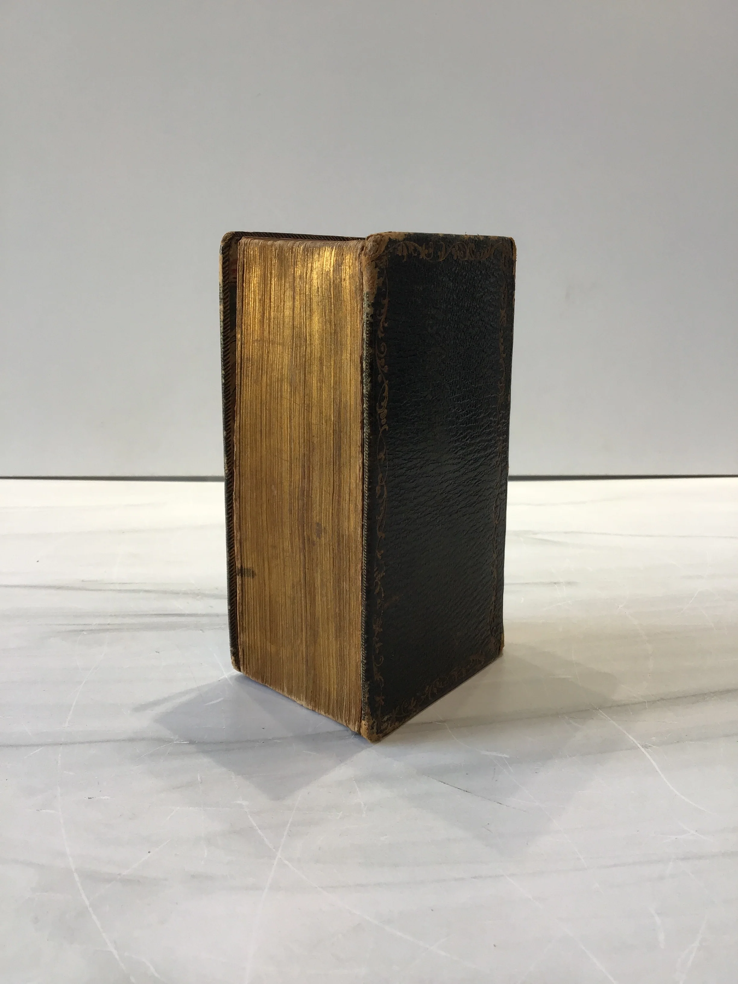 Holy Bible - Image 2