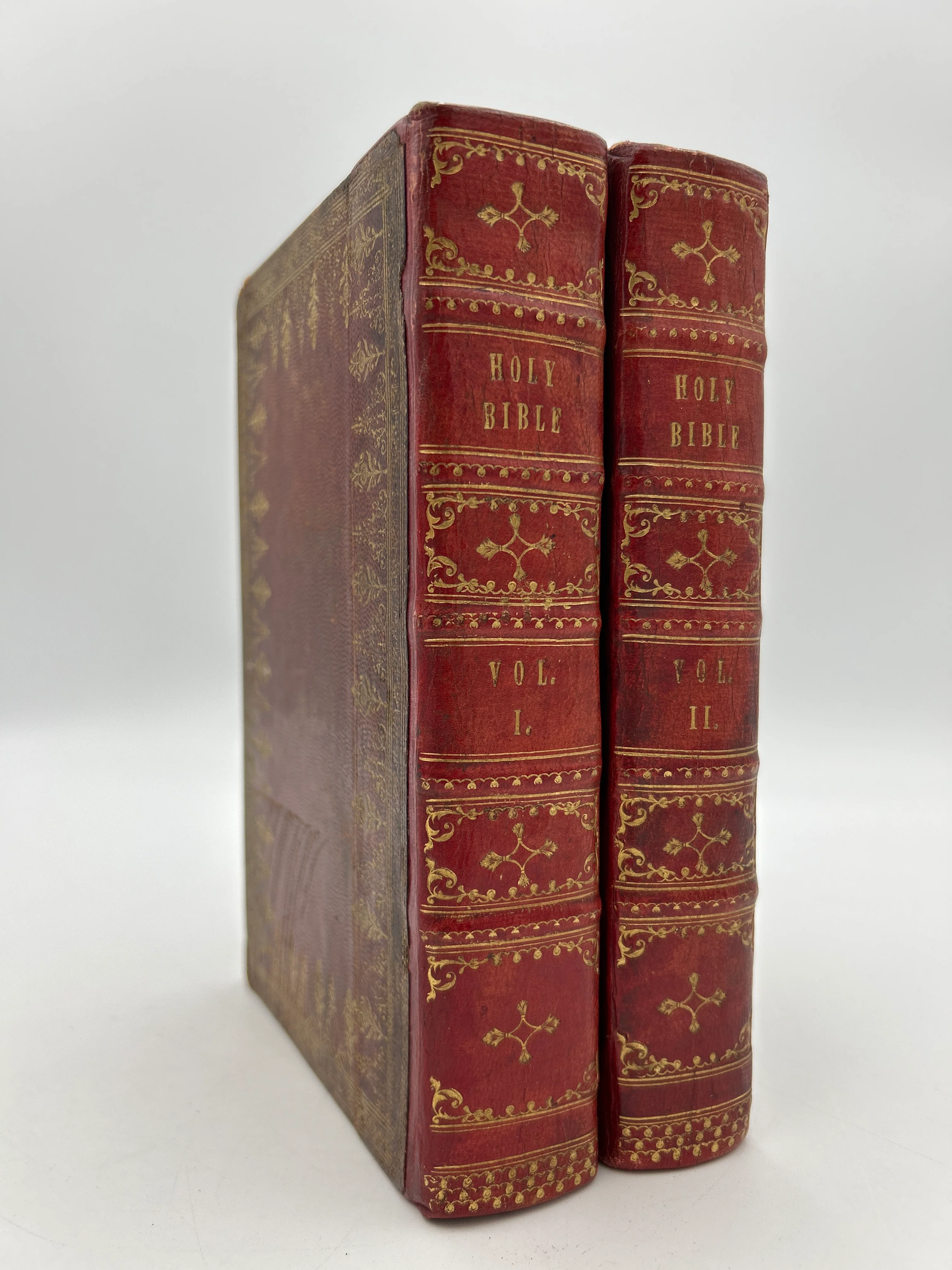 Holy Bible in Two Volumes
