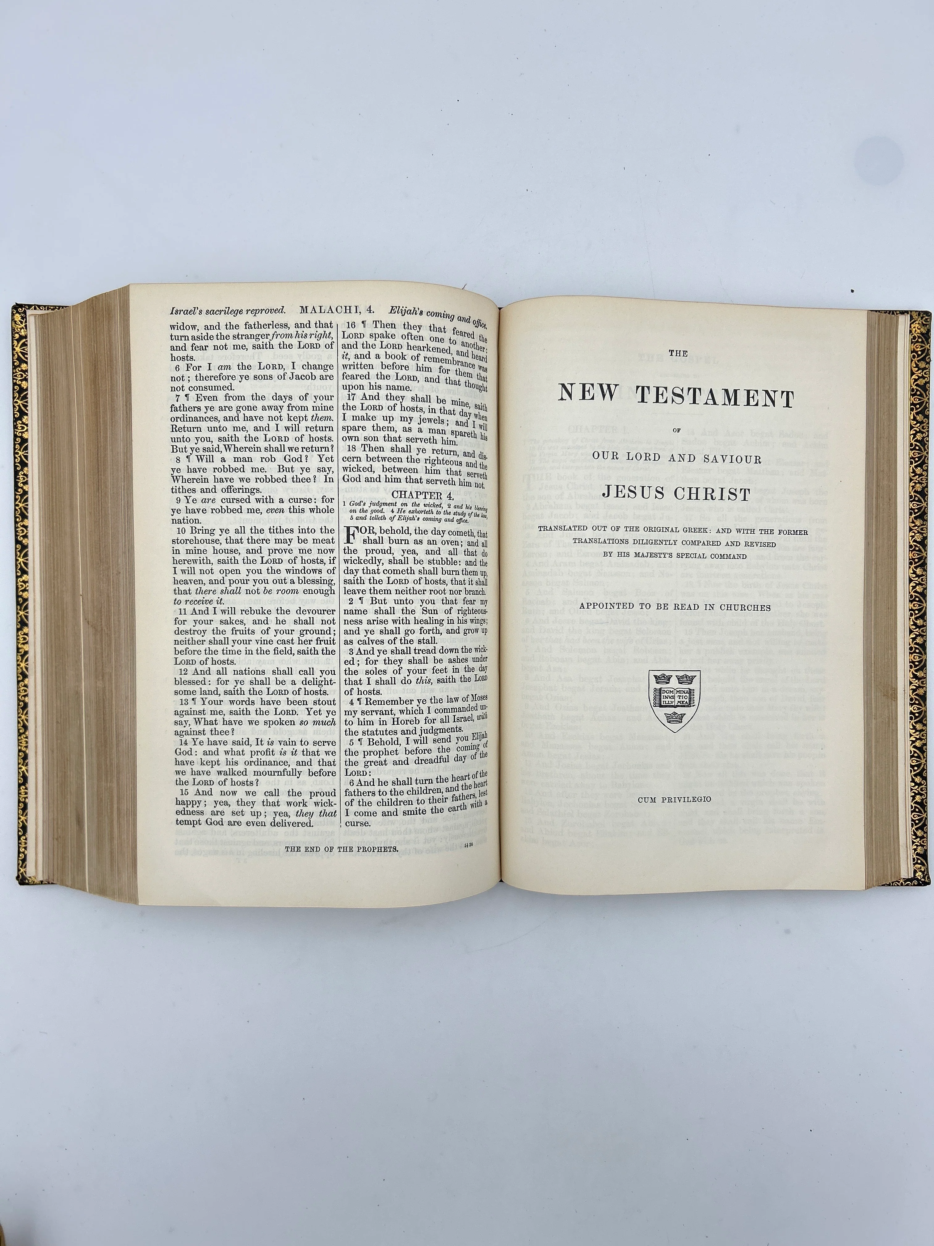 Holy Bible 1899 - Image 3
