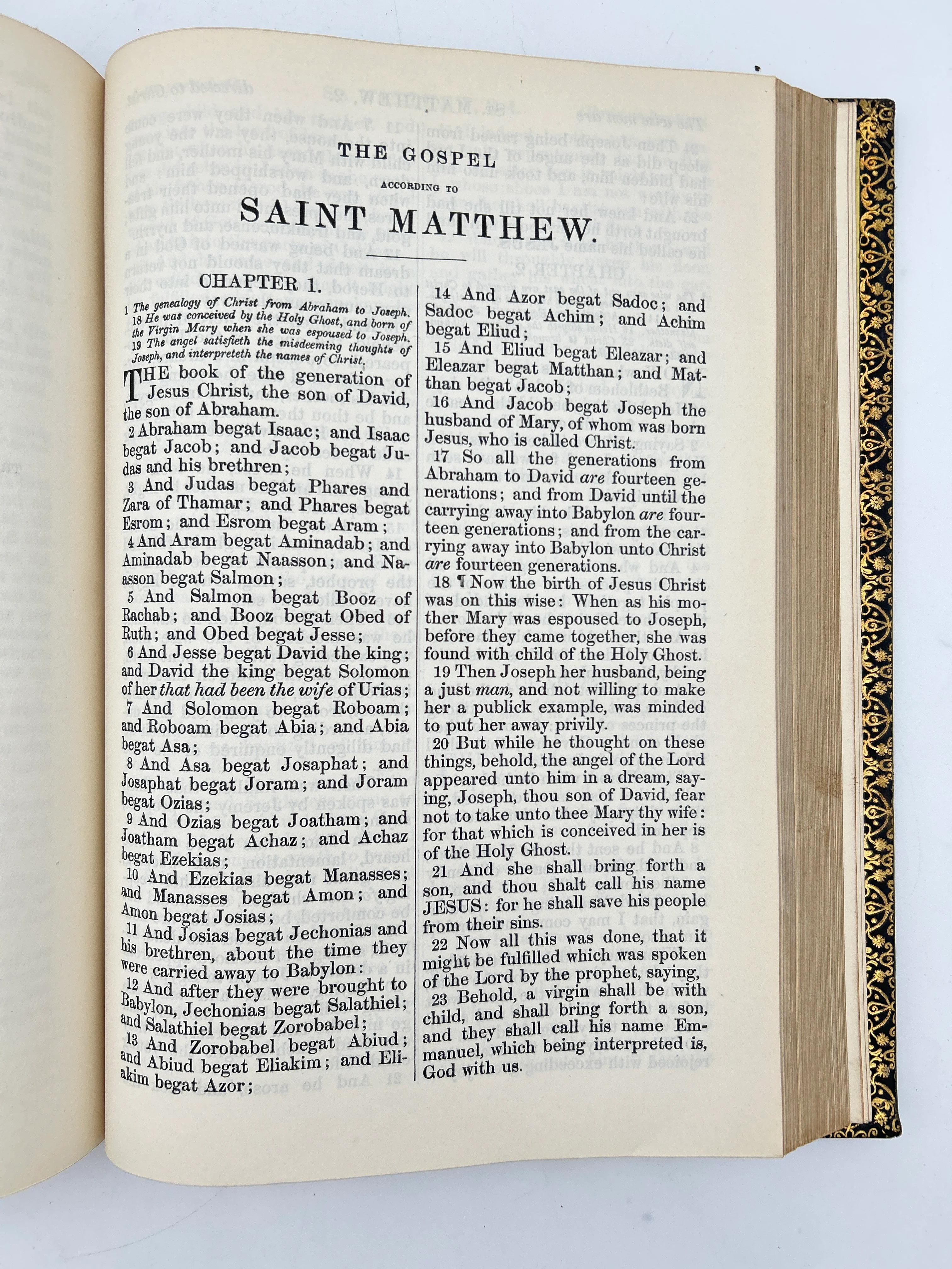 Holy Bible 1899 - Image 4