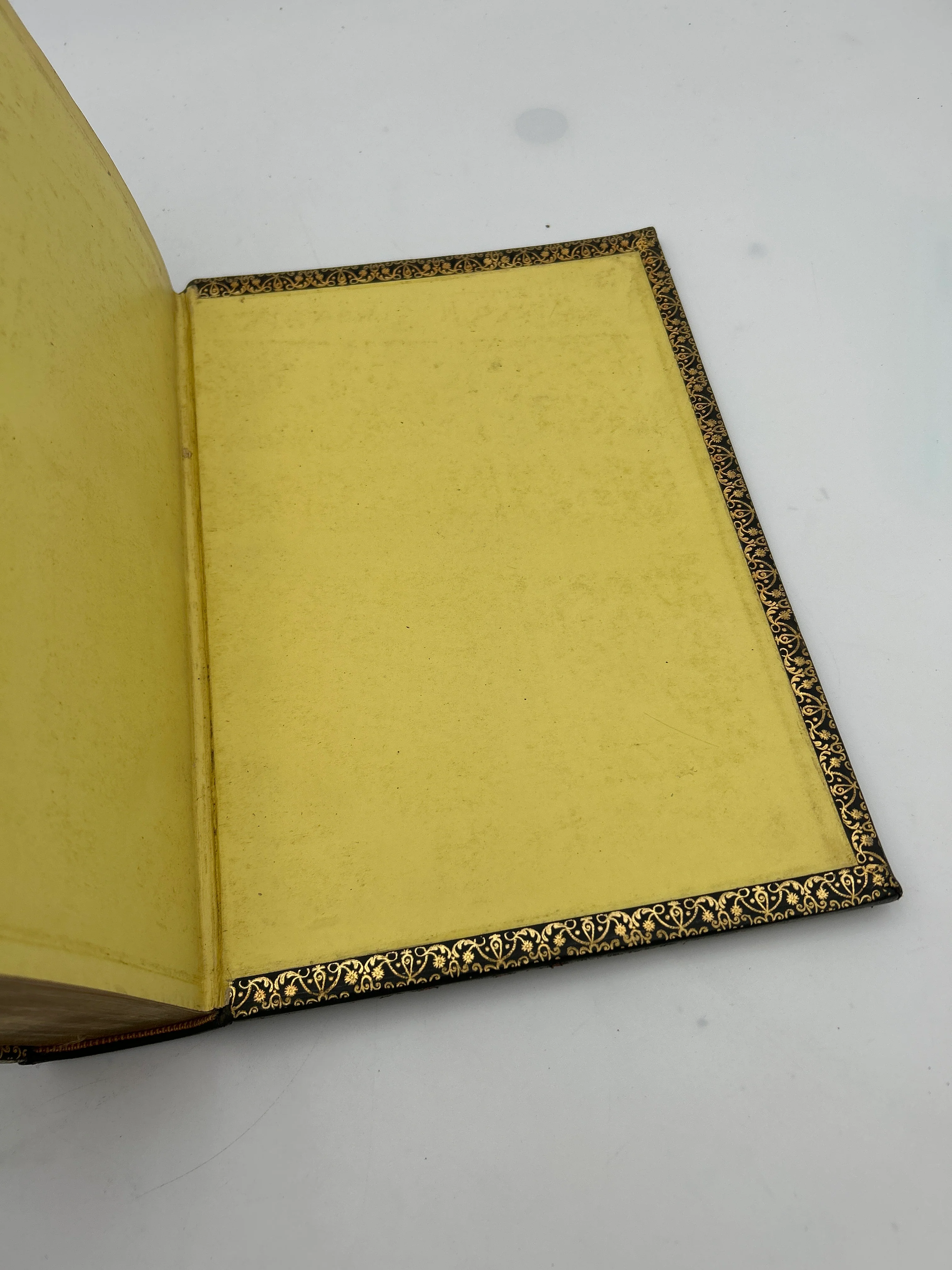 Holy Bible 1899 - Image 6