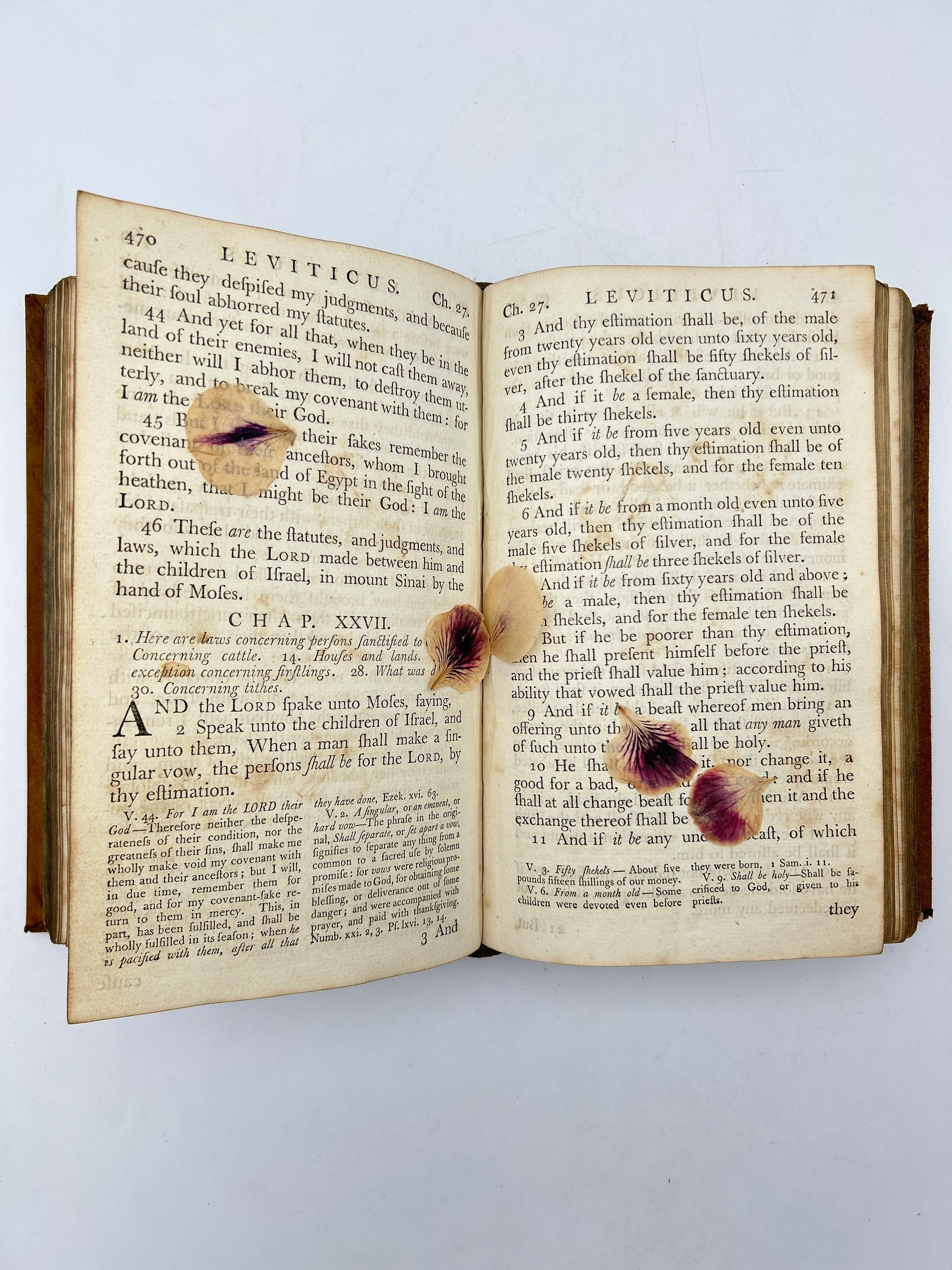 Holy Bible 1774 in Four Volumes - Image 4