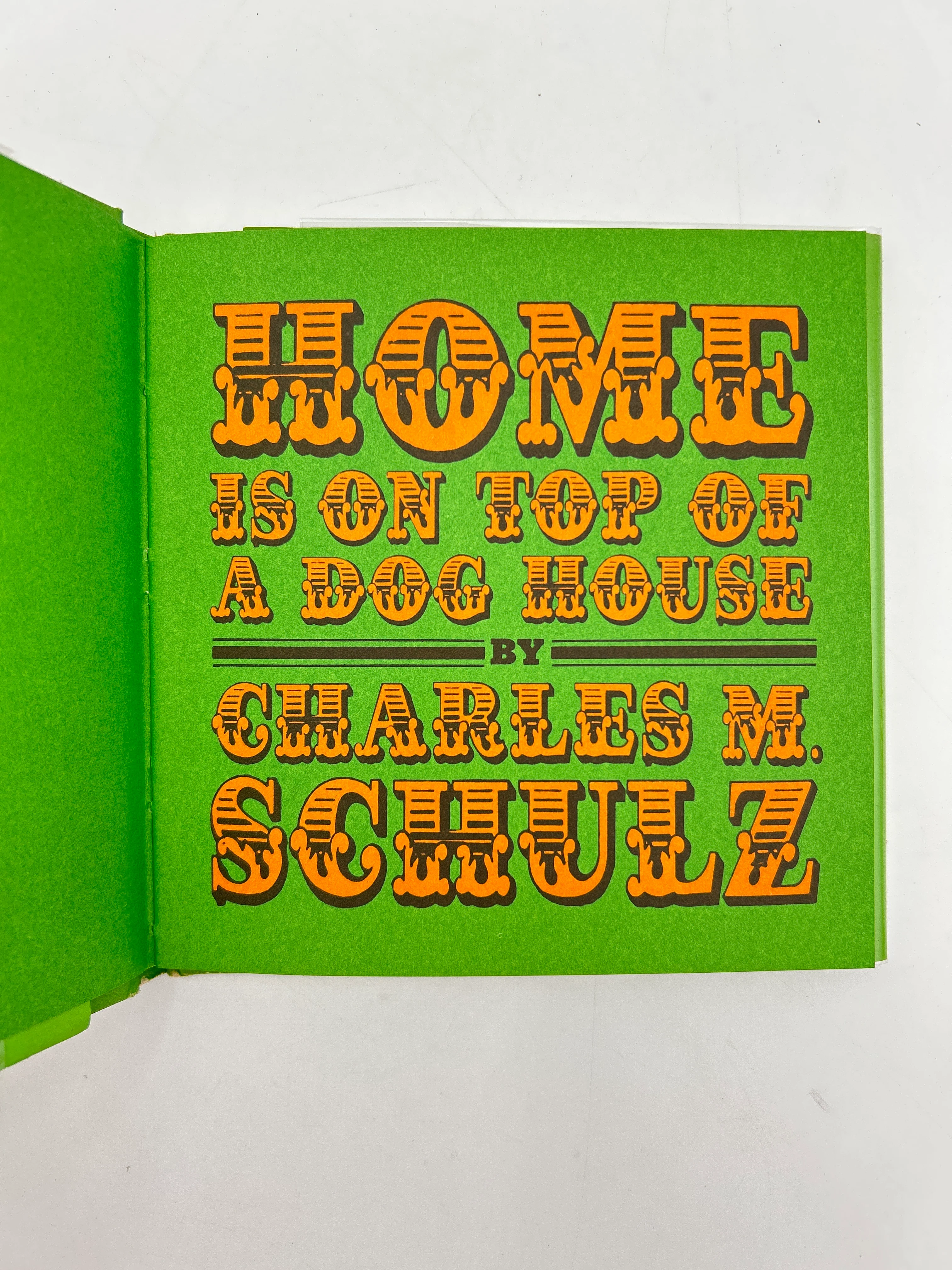 Home is on Top of a Dog House - Image 3