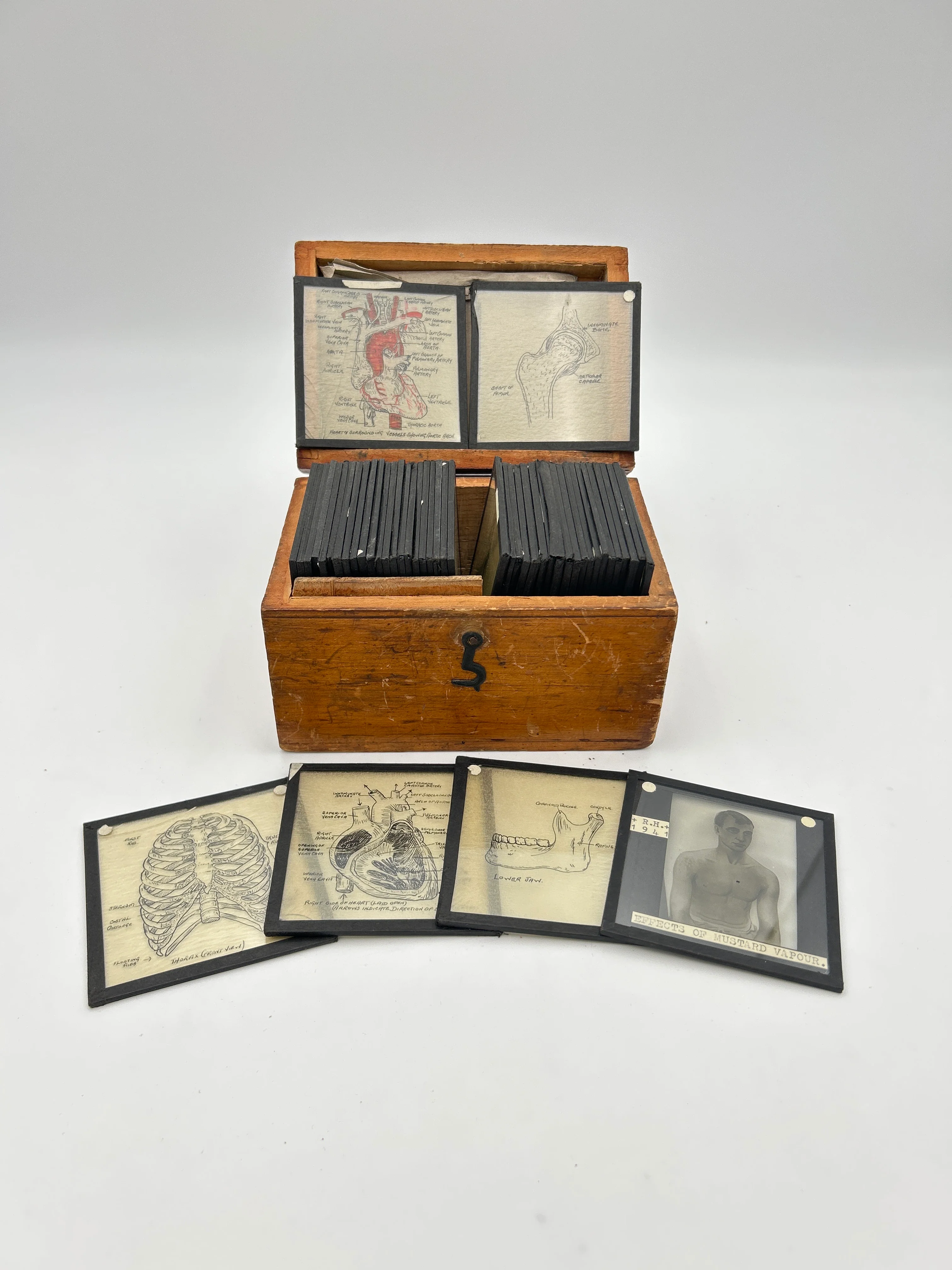 Human Anatomy Magic Lantern Lecture Slides