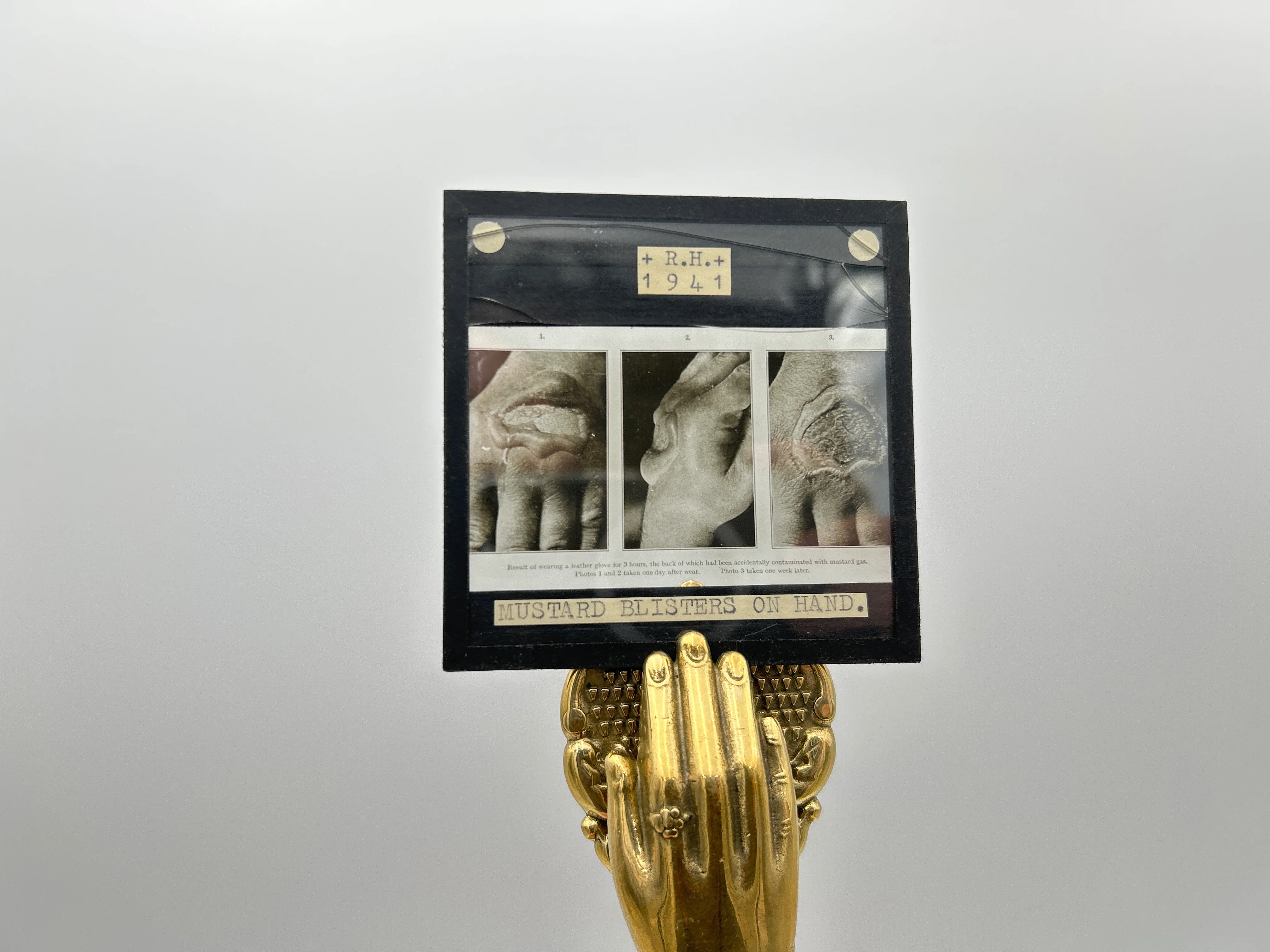 Human Anatomy Magic Lantern Lecture Slides - Image 6