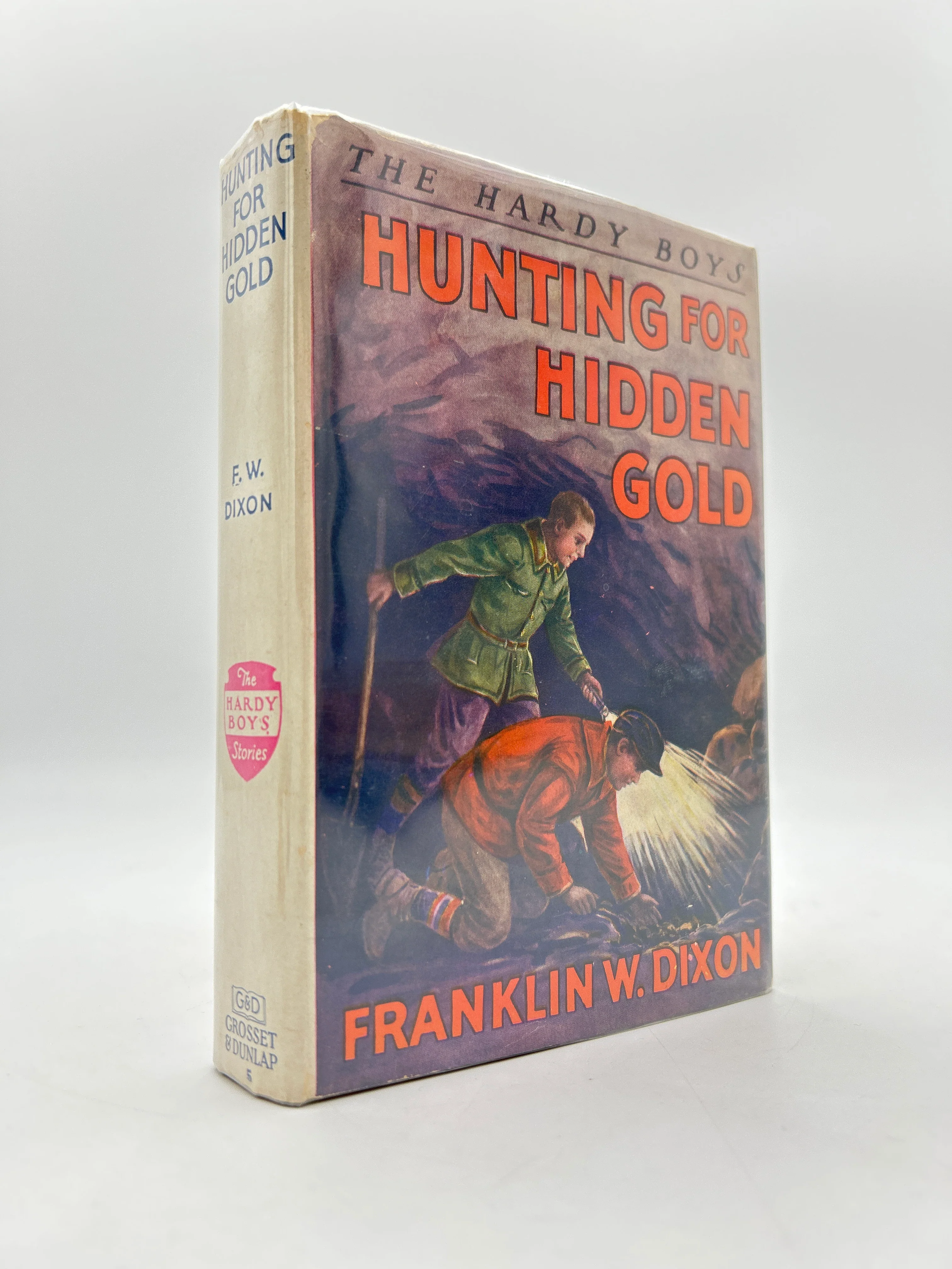 Hardy Boys: Hunting For Hidden Gold