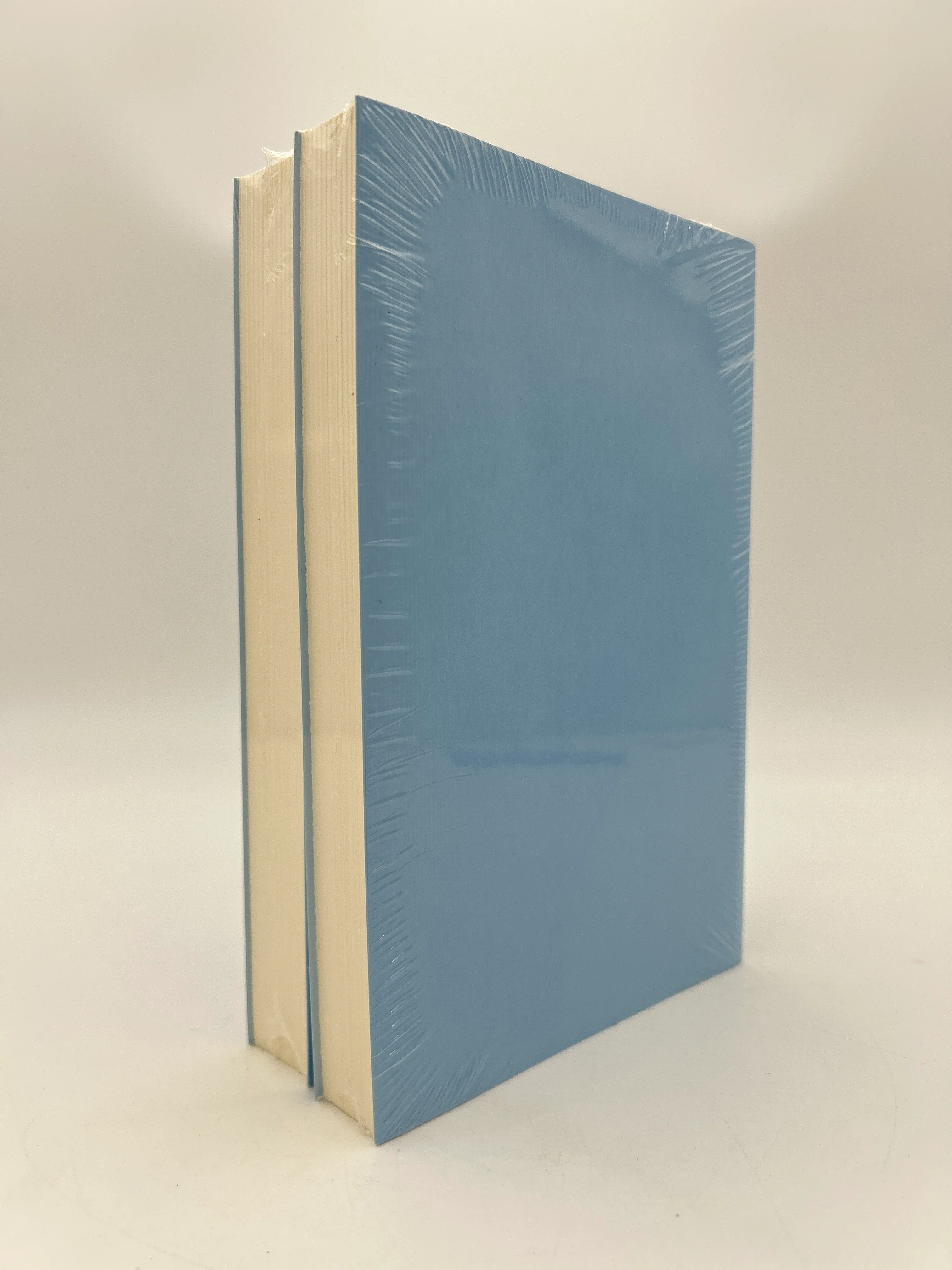 Hypnerotomachia Poliphili (Paperback) - Image 2