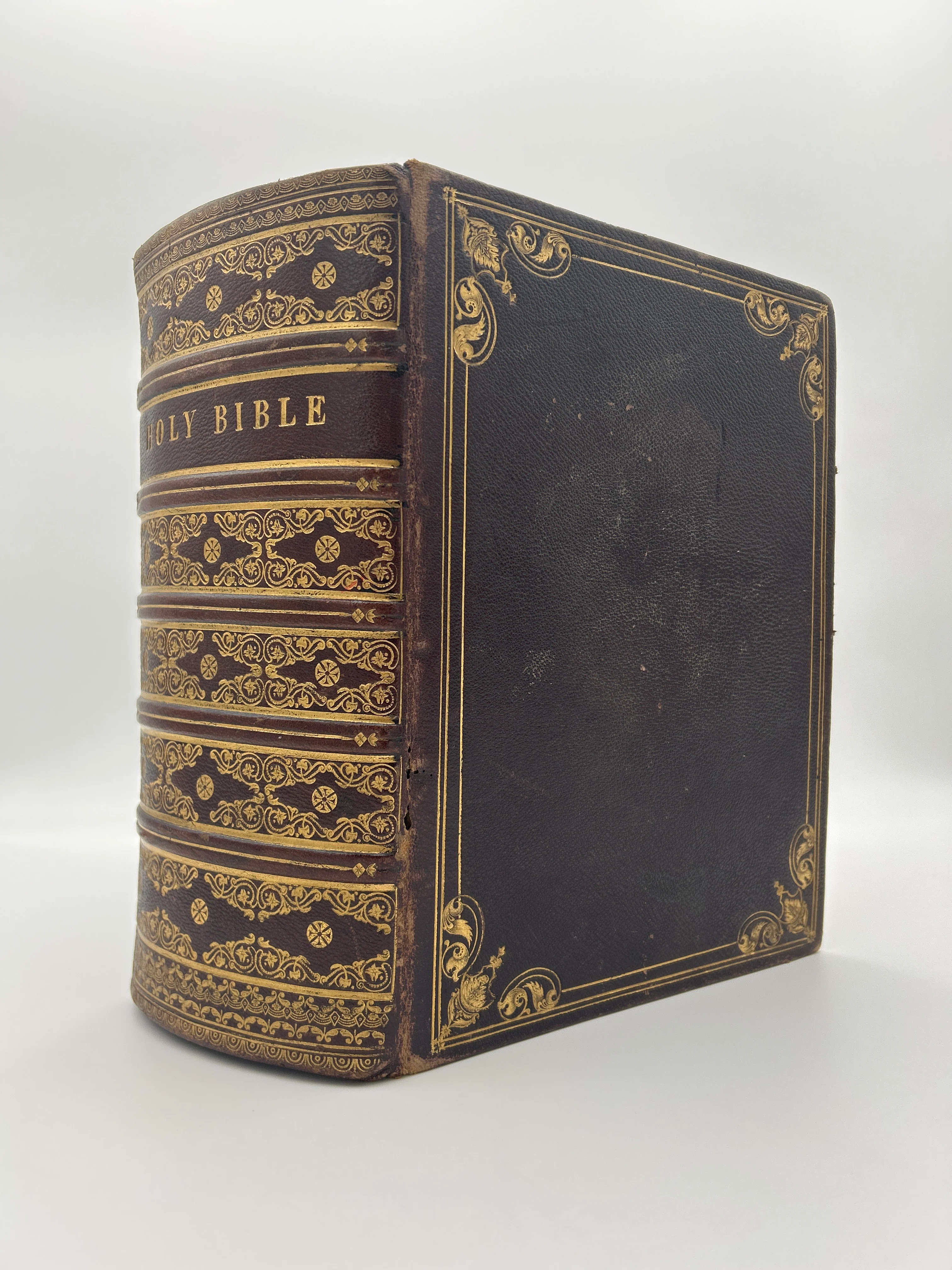 Illustrated King James Bible 1840