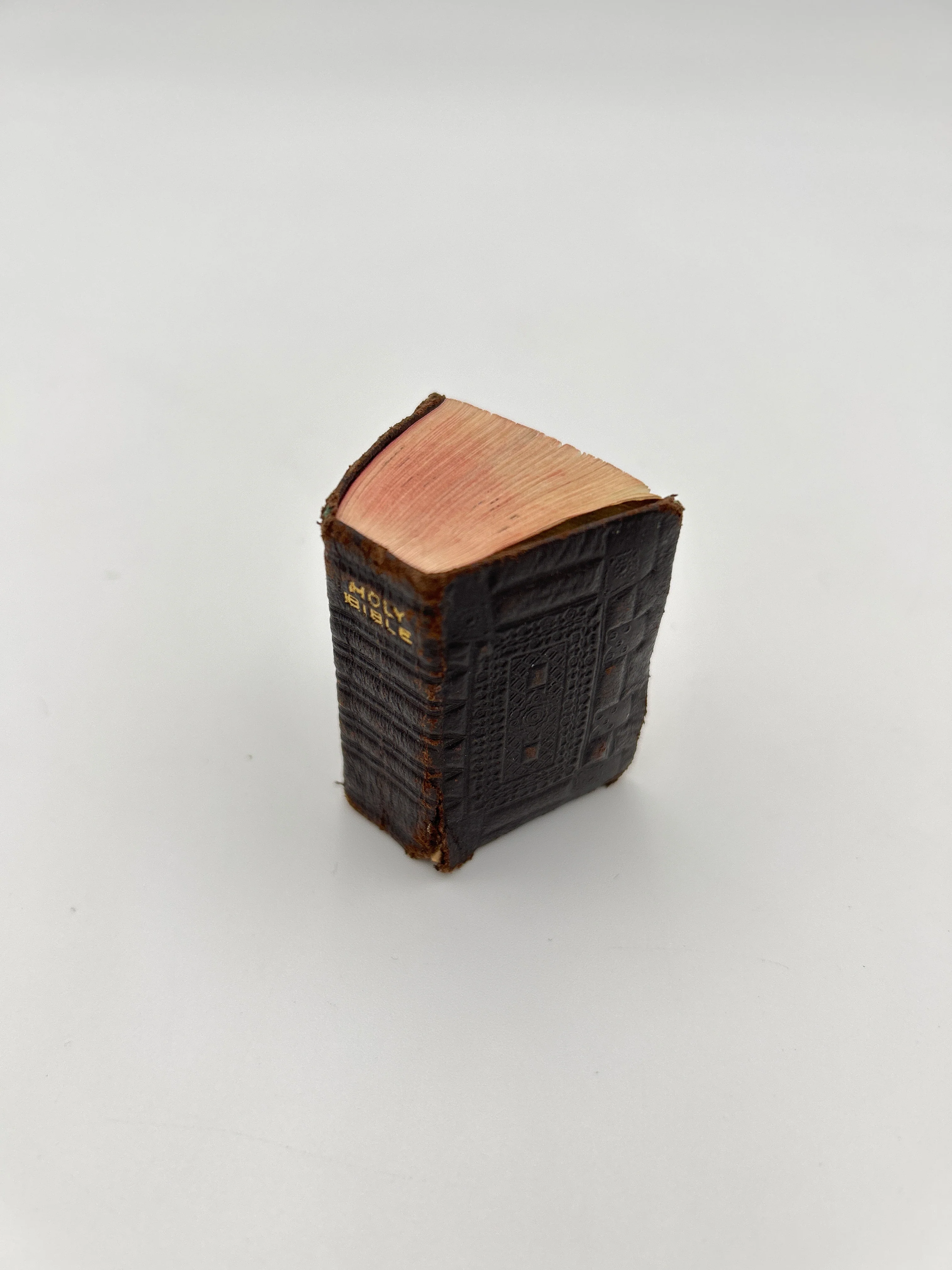Illustrated Thumb Bible - Image 3