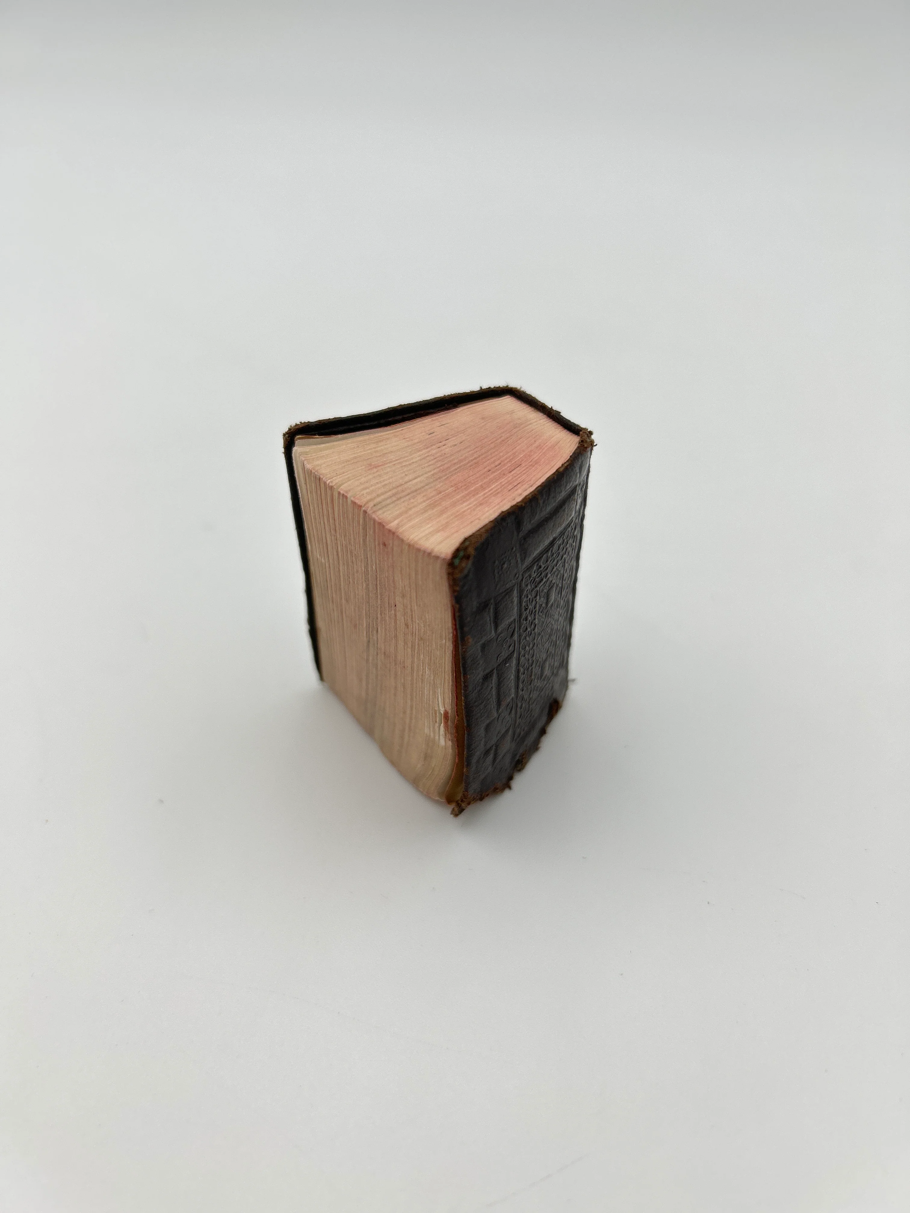 Illustrated Thumb Bible - Image 4