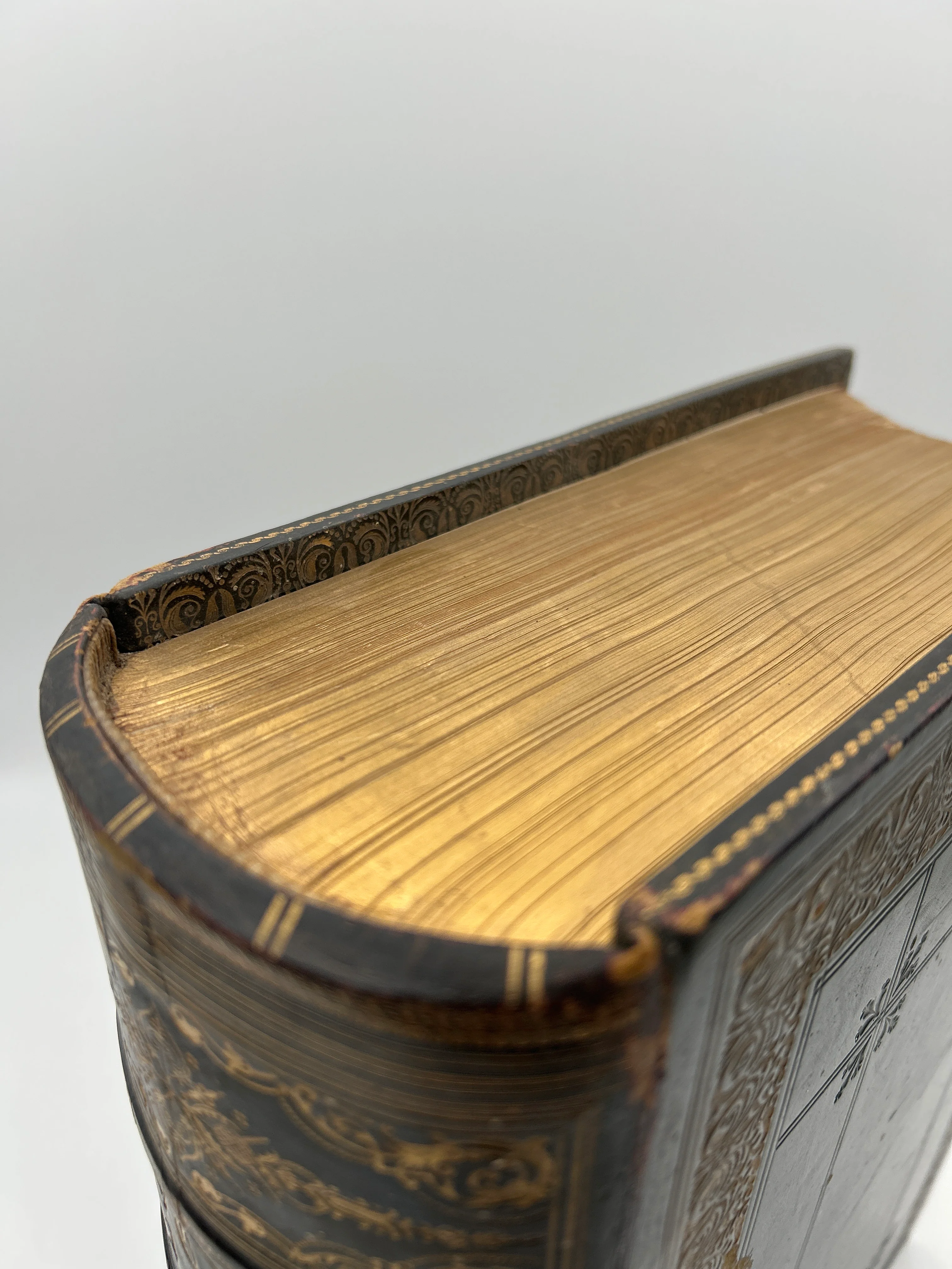 Imperial Family Bible 1860 - Image 2
