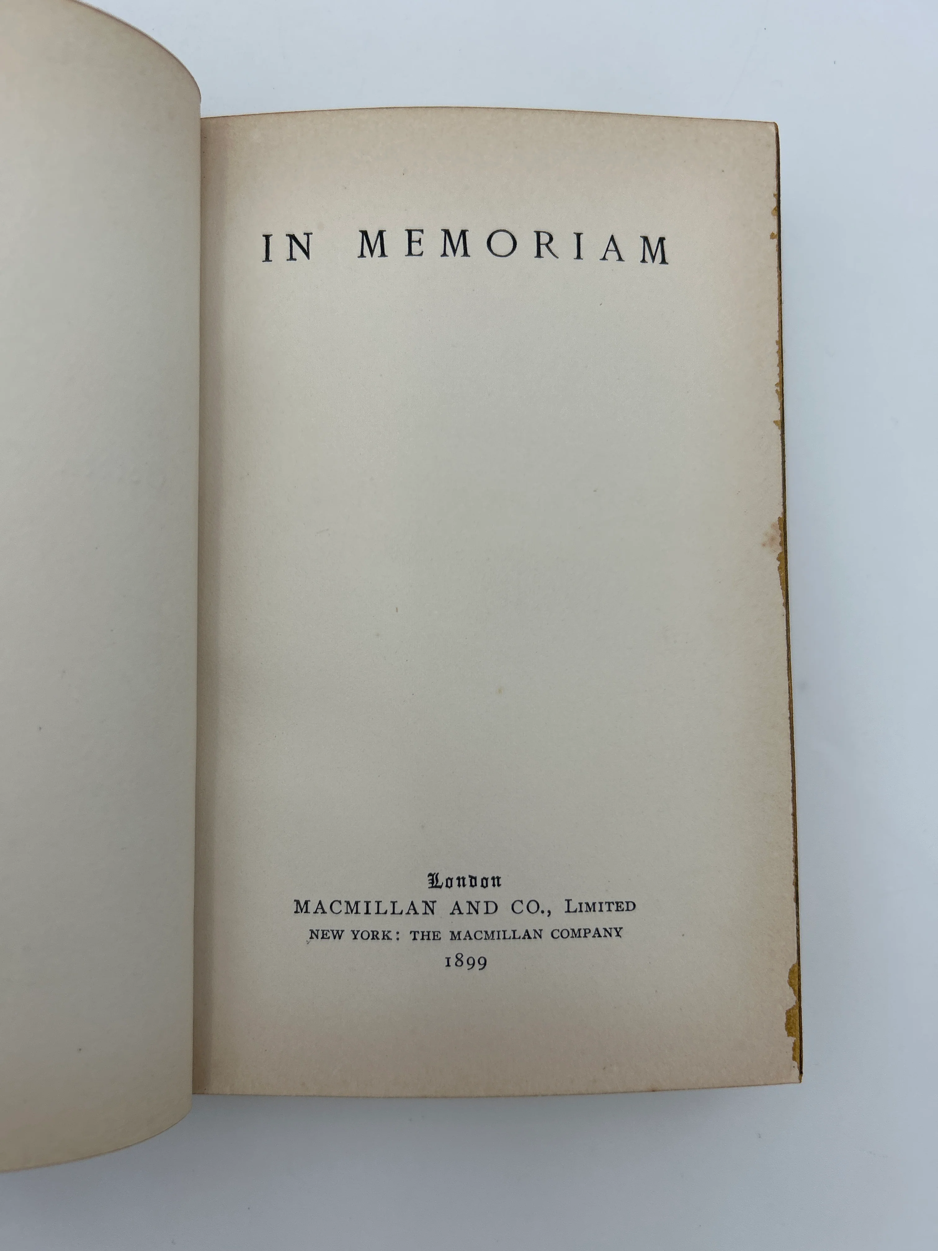 In Memoriam - Image 3