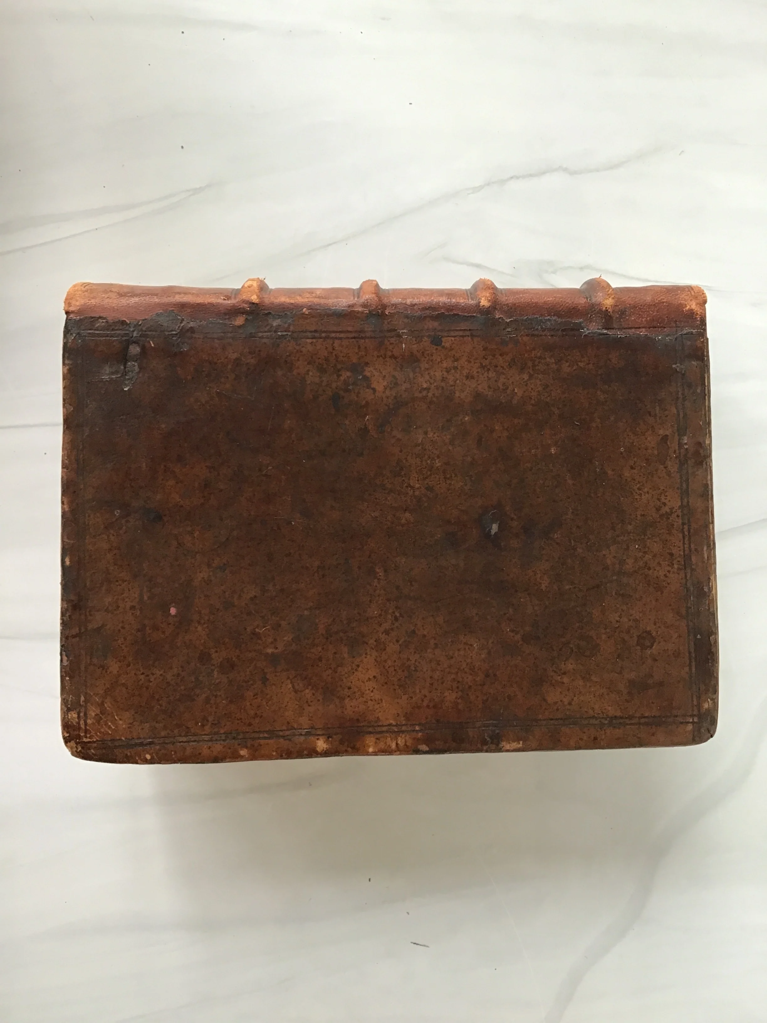 -Italian First Protestant Bible 1607*
