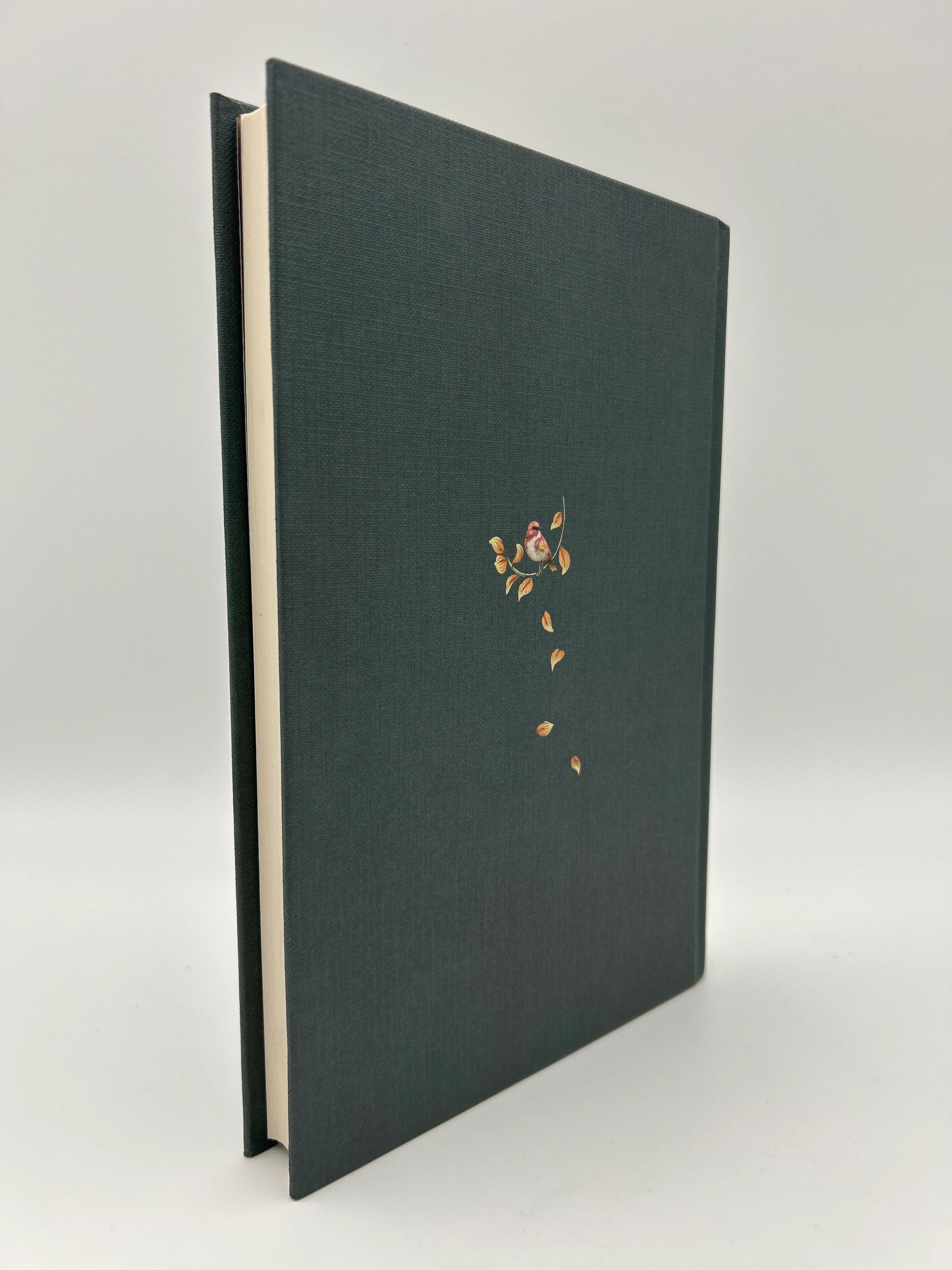 Jane Austen UK Reprint Bundle - Image 11