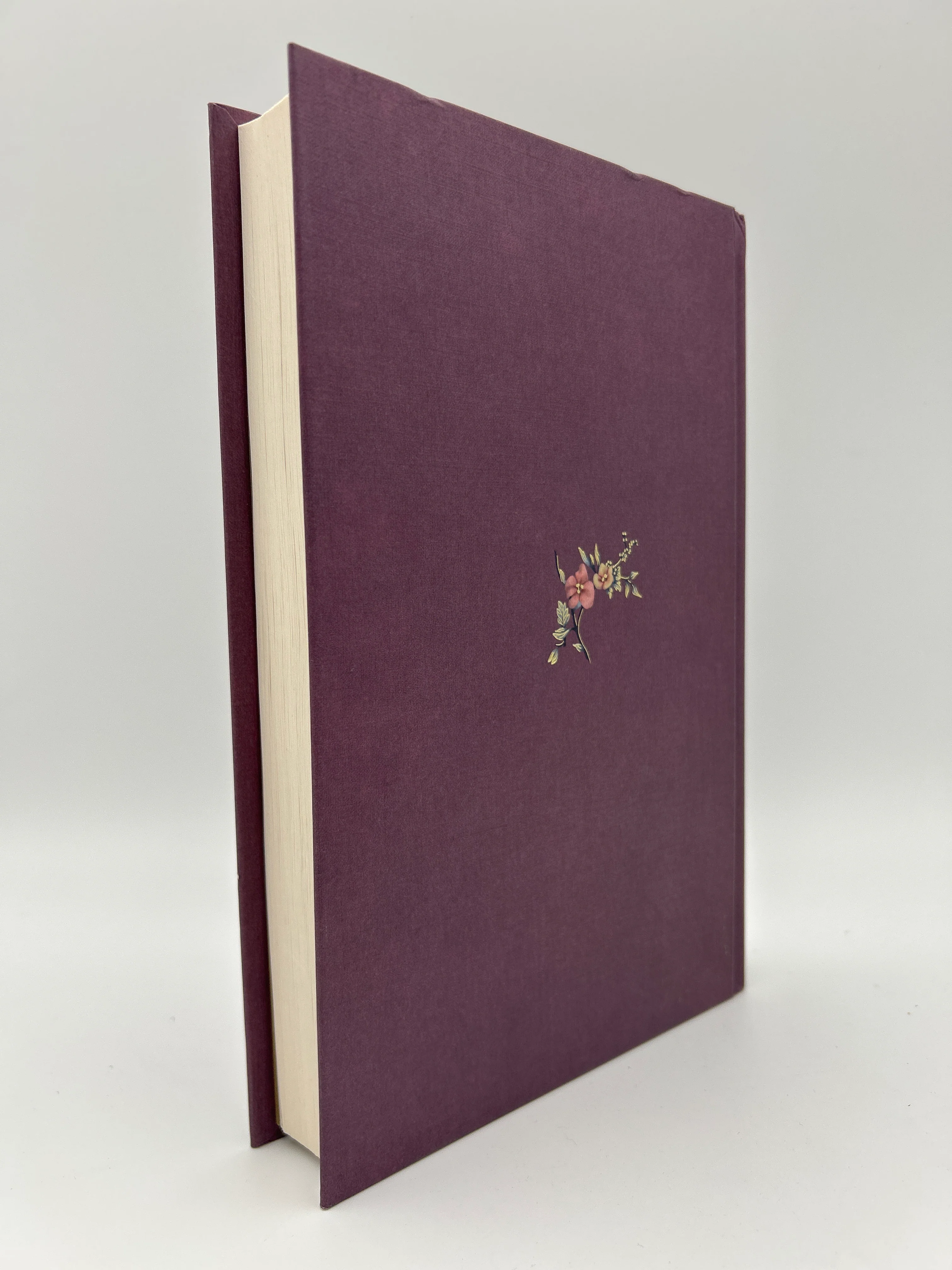 Jane Austen UK Reprint Bundle - Image 9