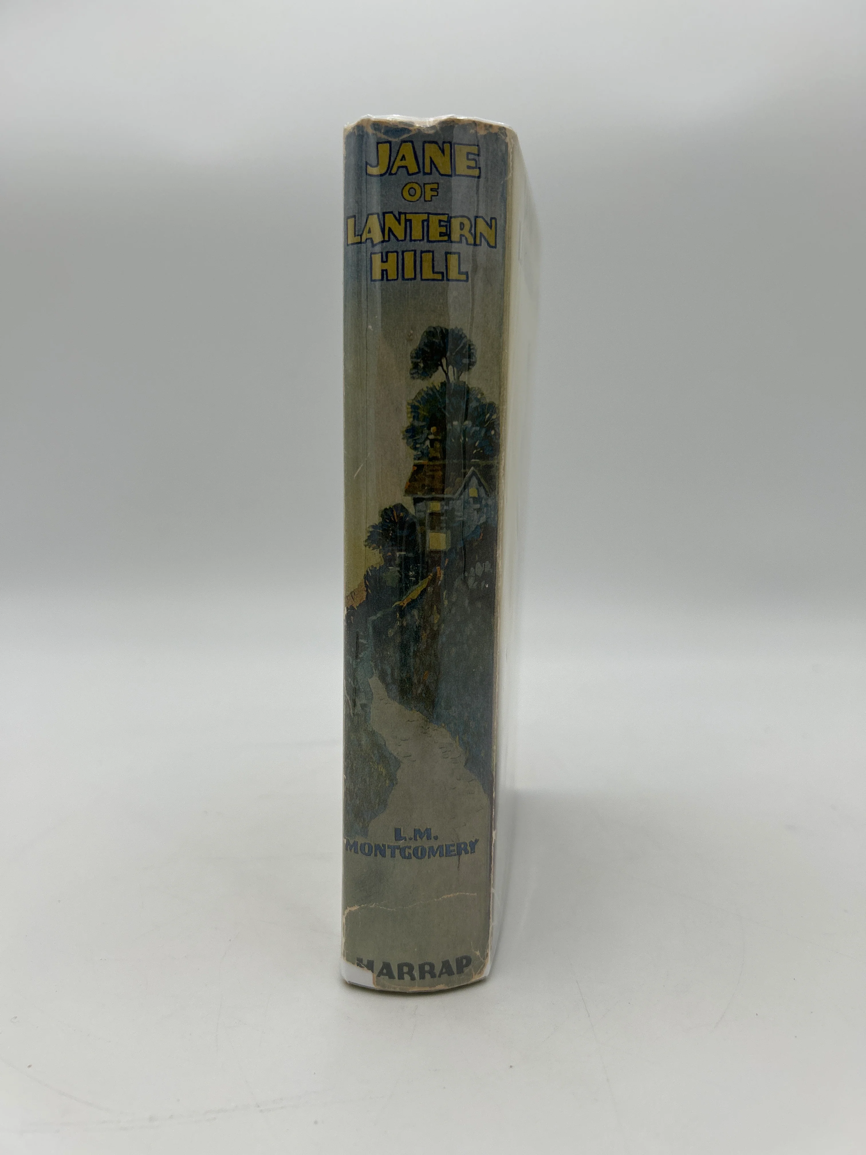 Jane of Lantern Hill - Image 2