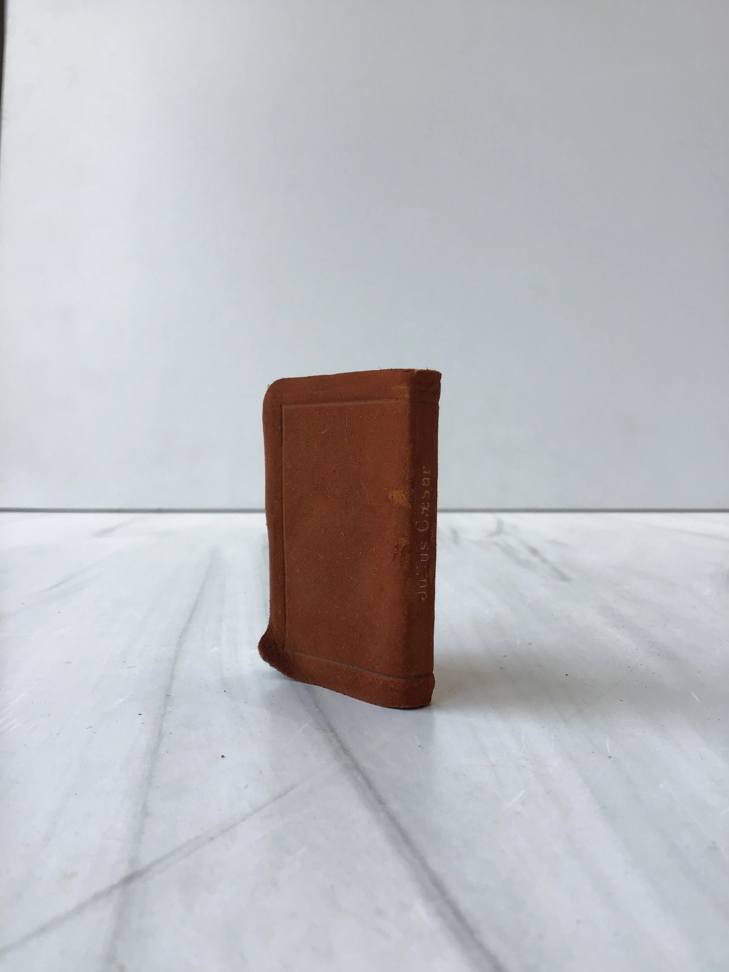 Julius Caesar - Image 3