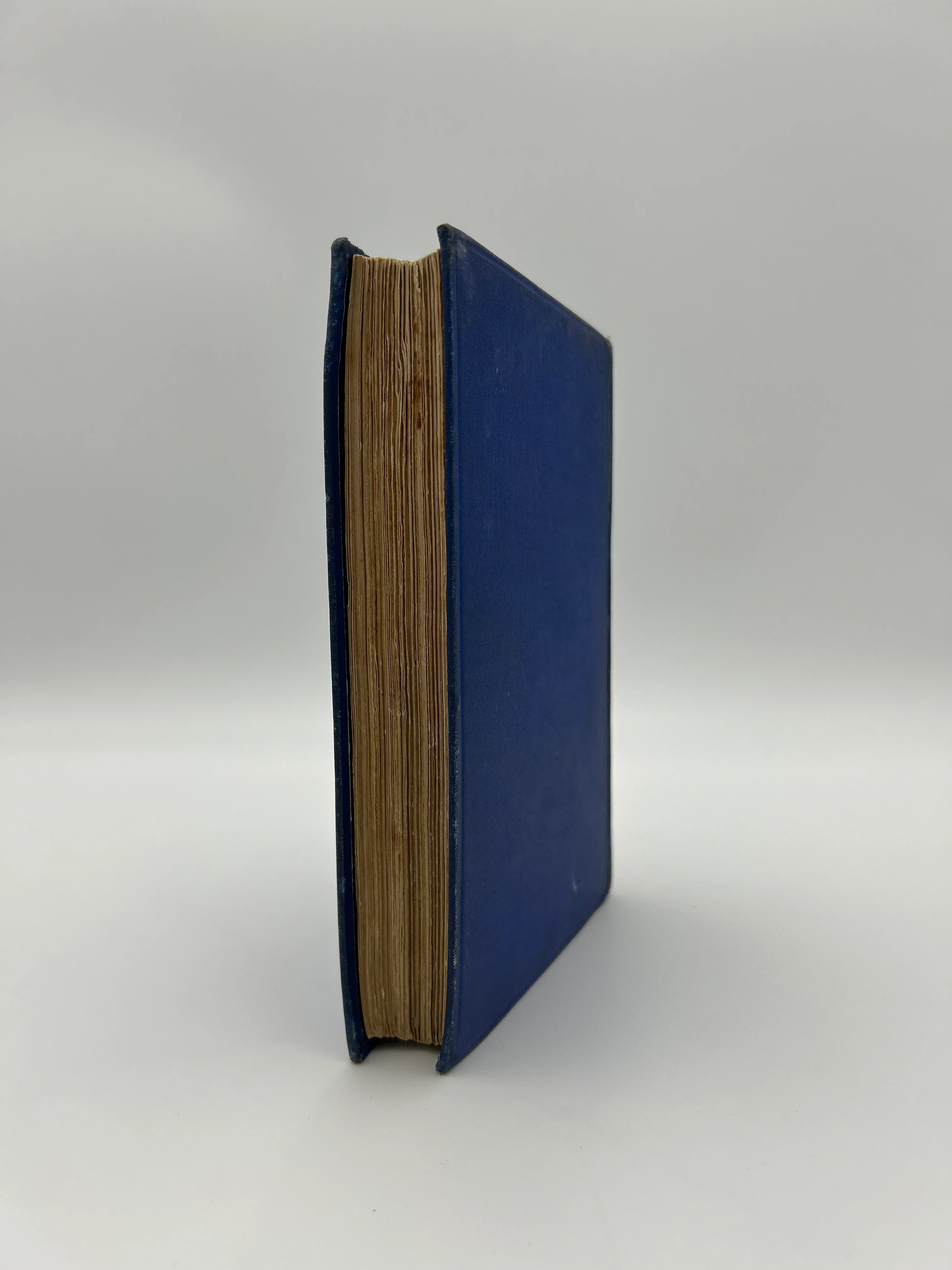 Kidnapped - Image 4