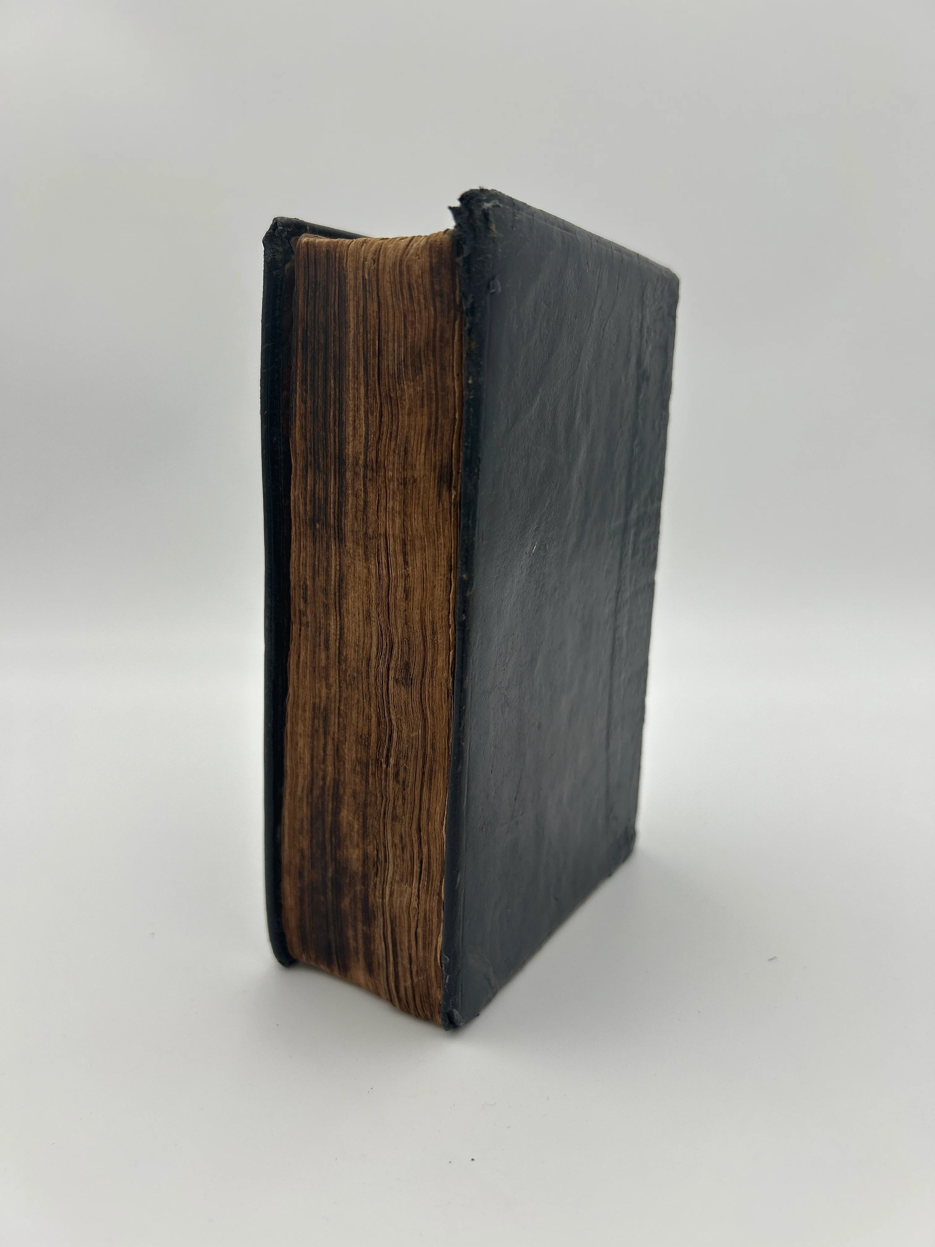 Holy Bible KJV 1640 - Image 2