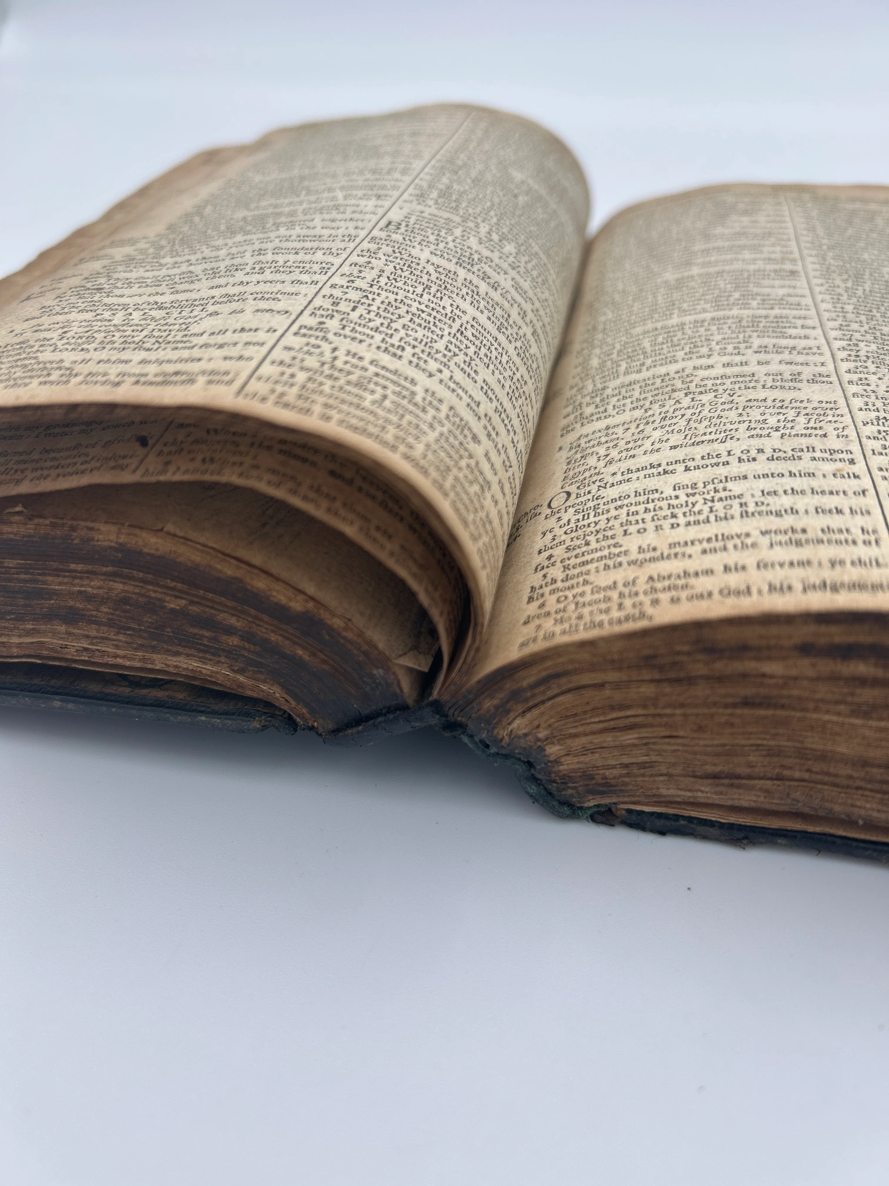 Holy Bible KJV 1640 - Image 6