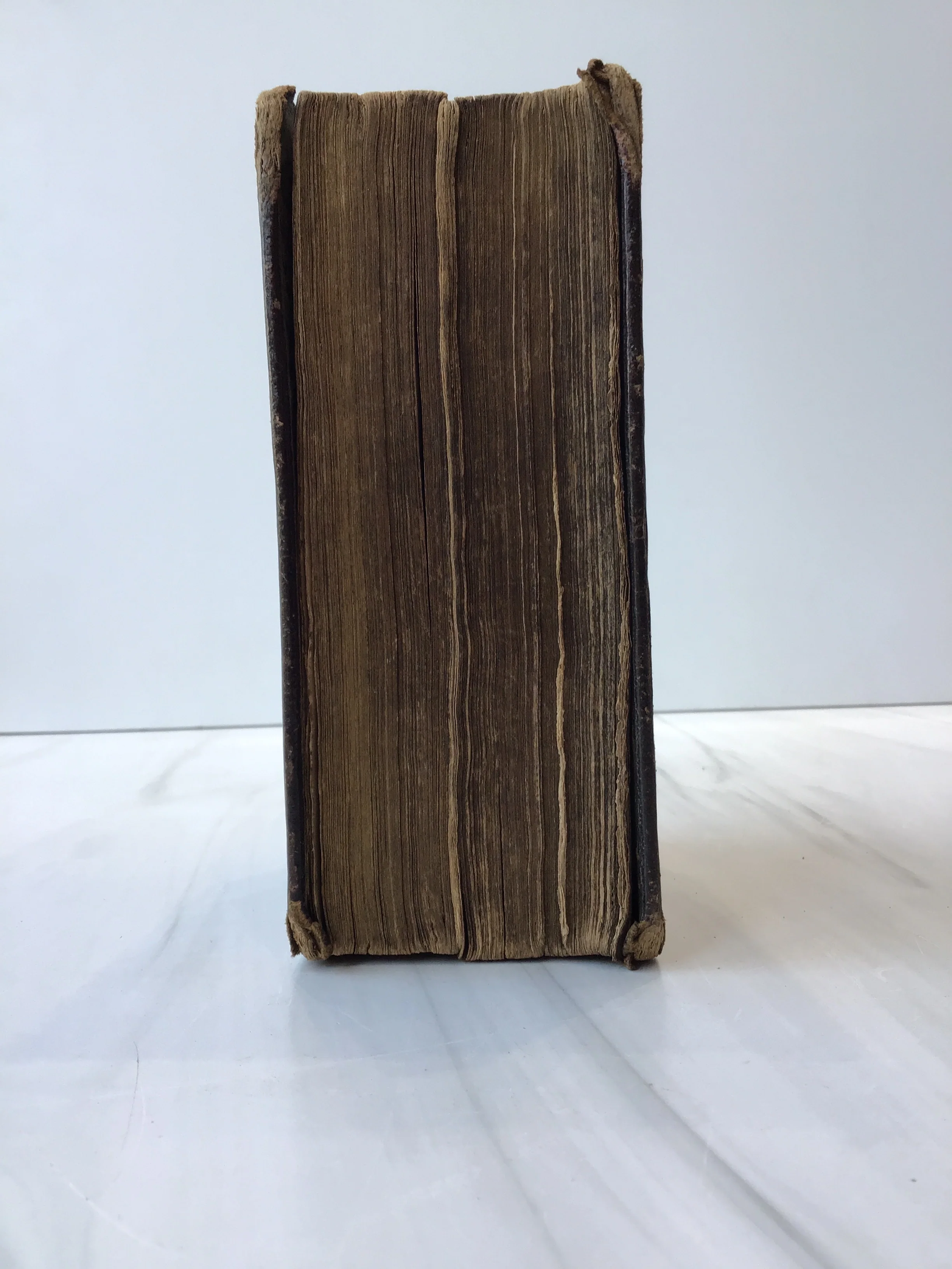 King James Bible 1799 - Image 3